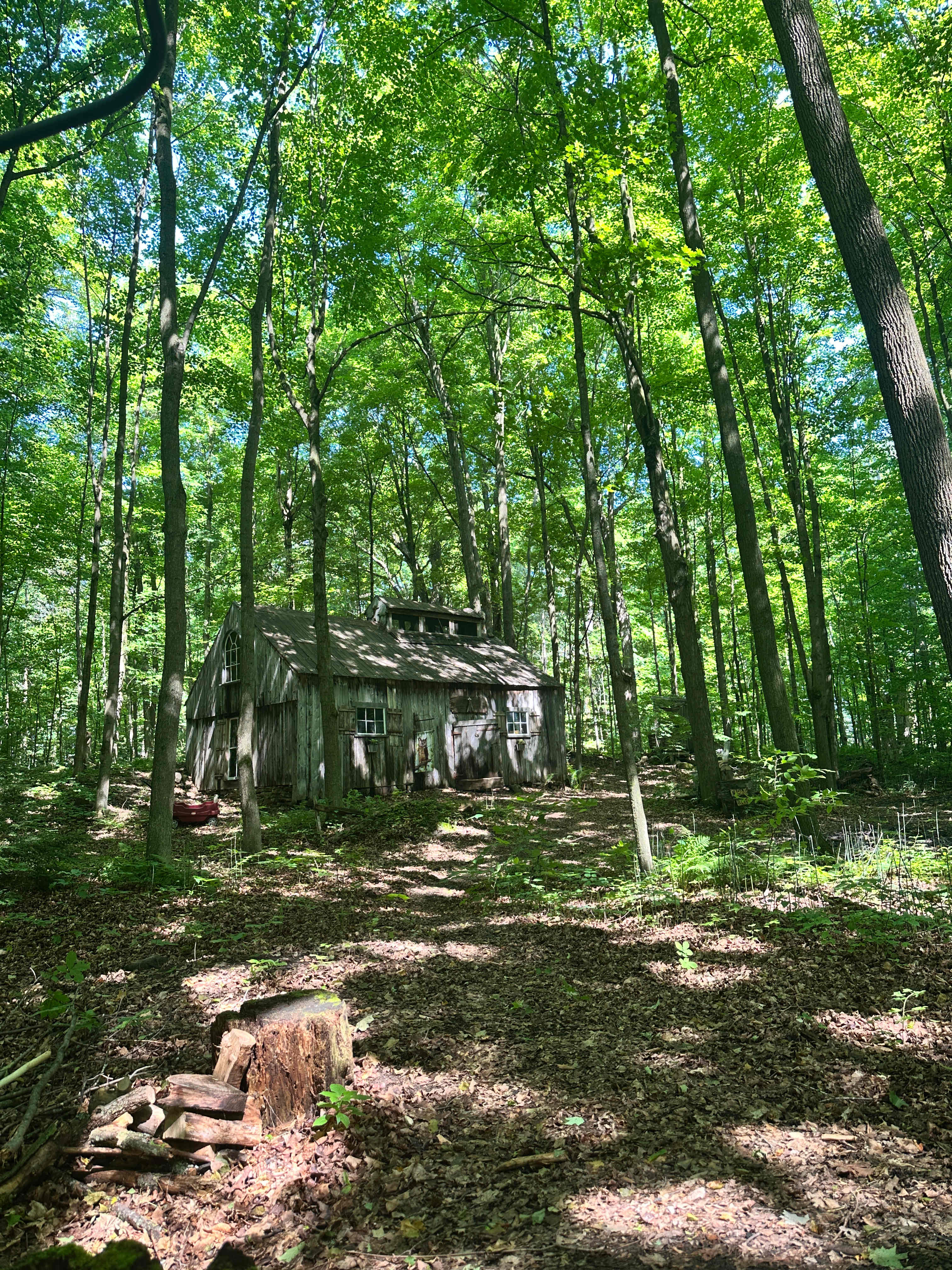 Cabine Luciole