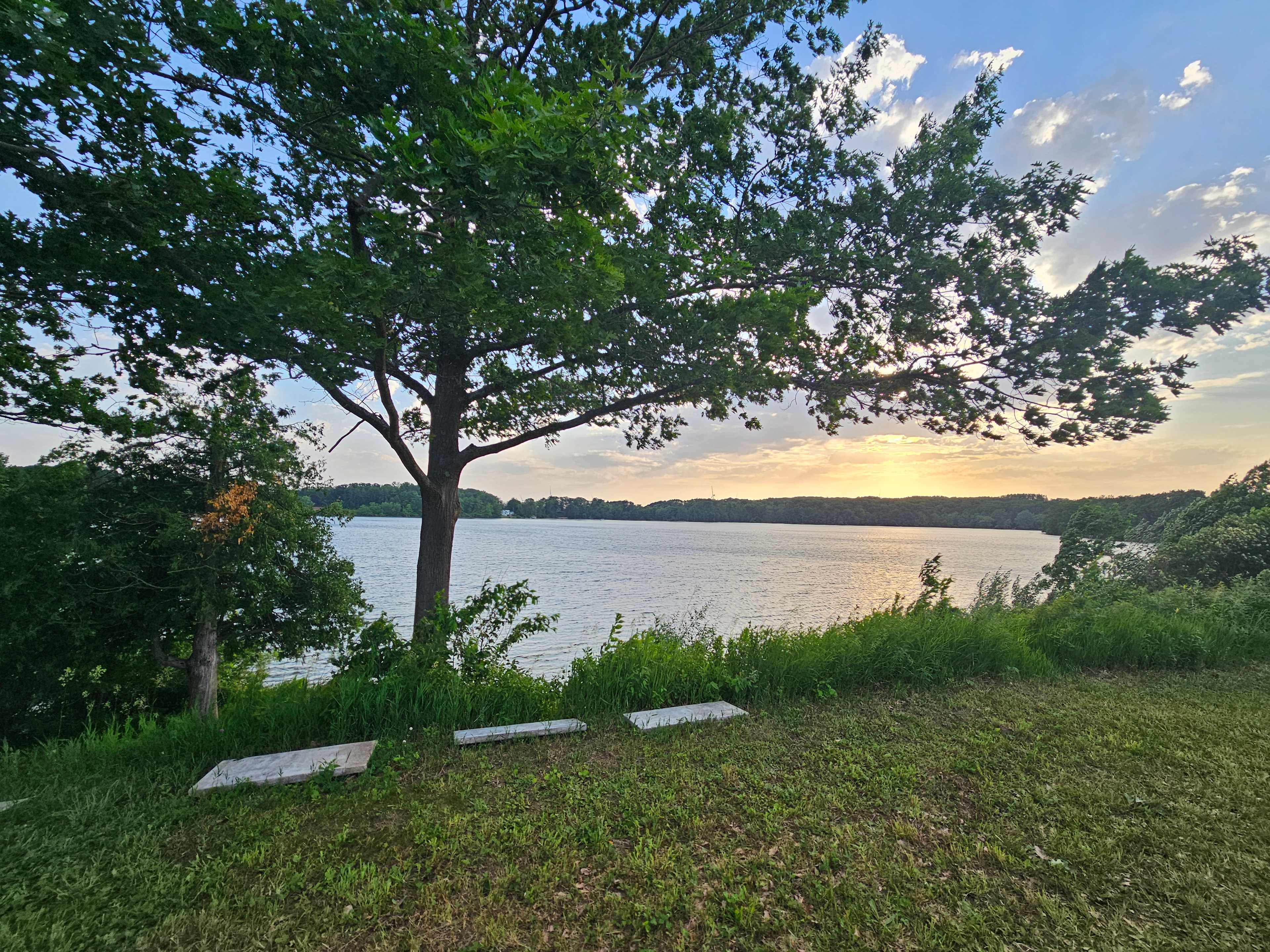 Oxbow Lake Oasis
