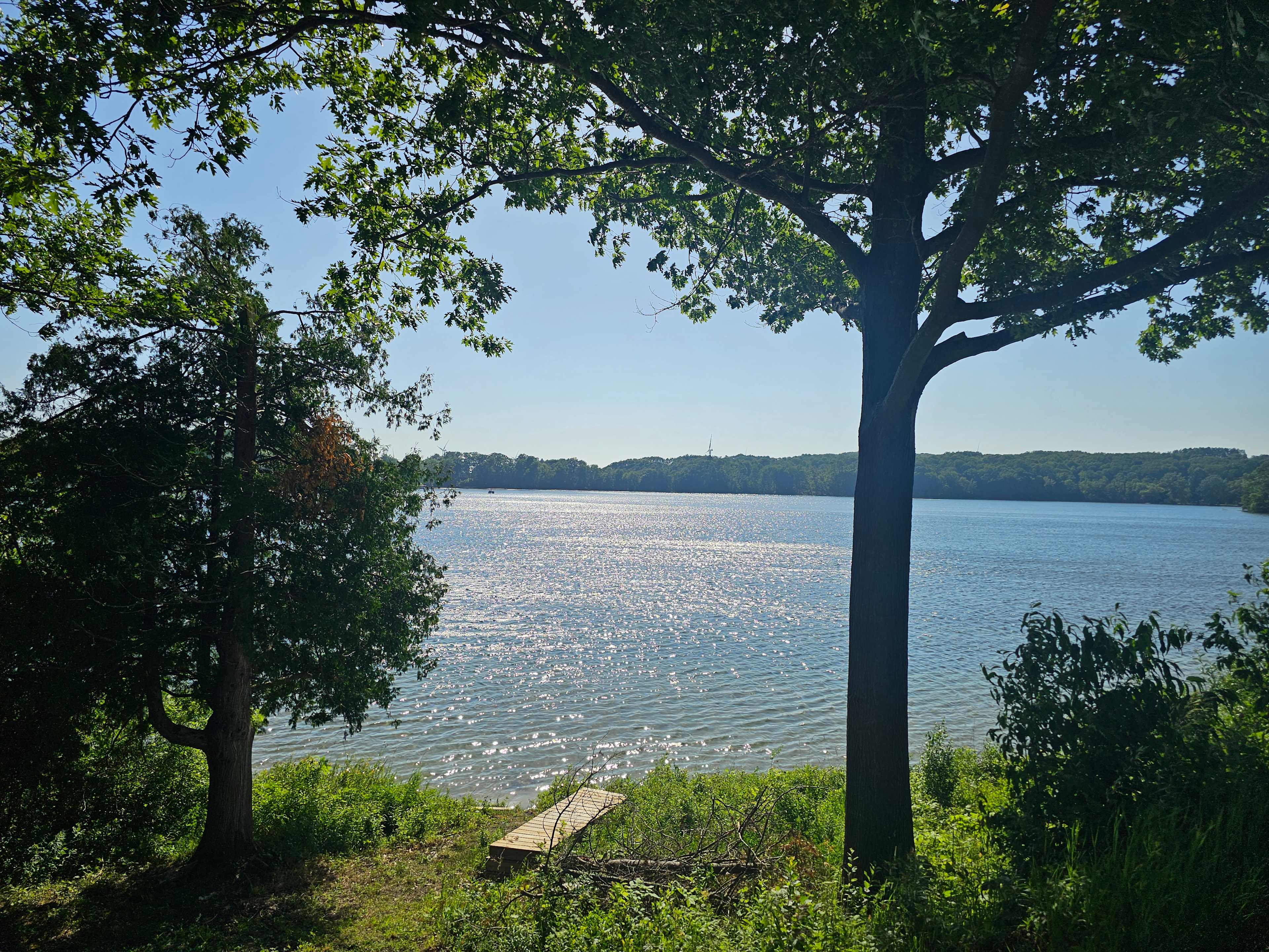 Oxbow Lake Oasis