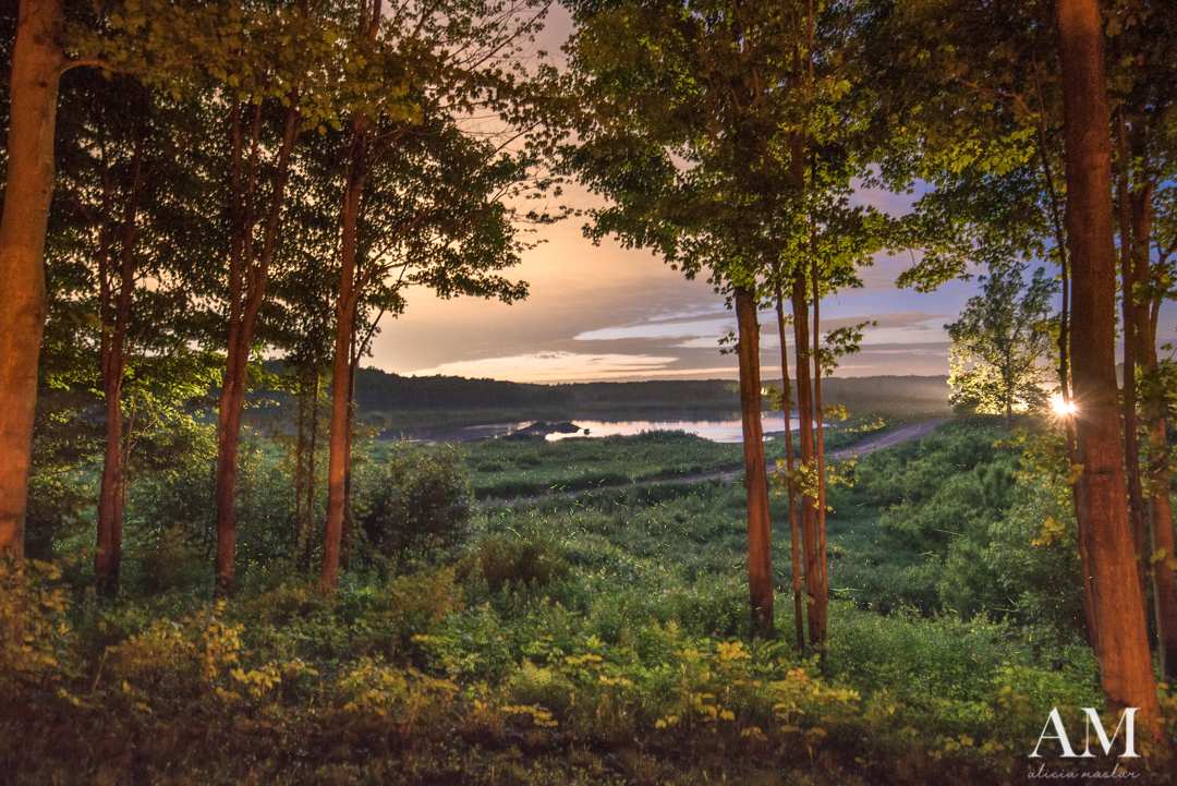 Secluded Overlook Solo Campsite