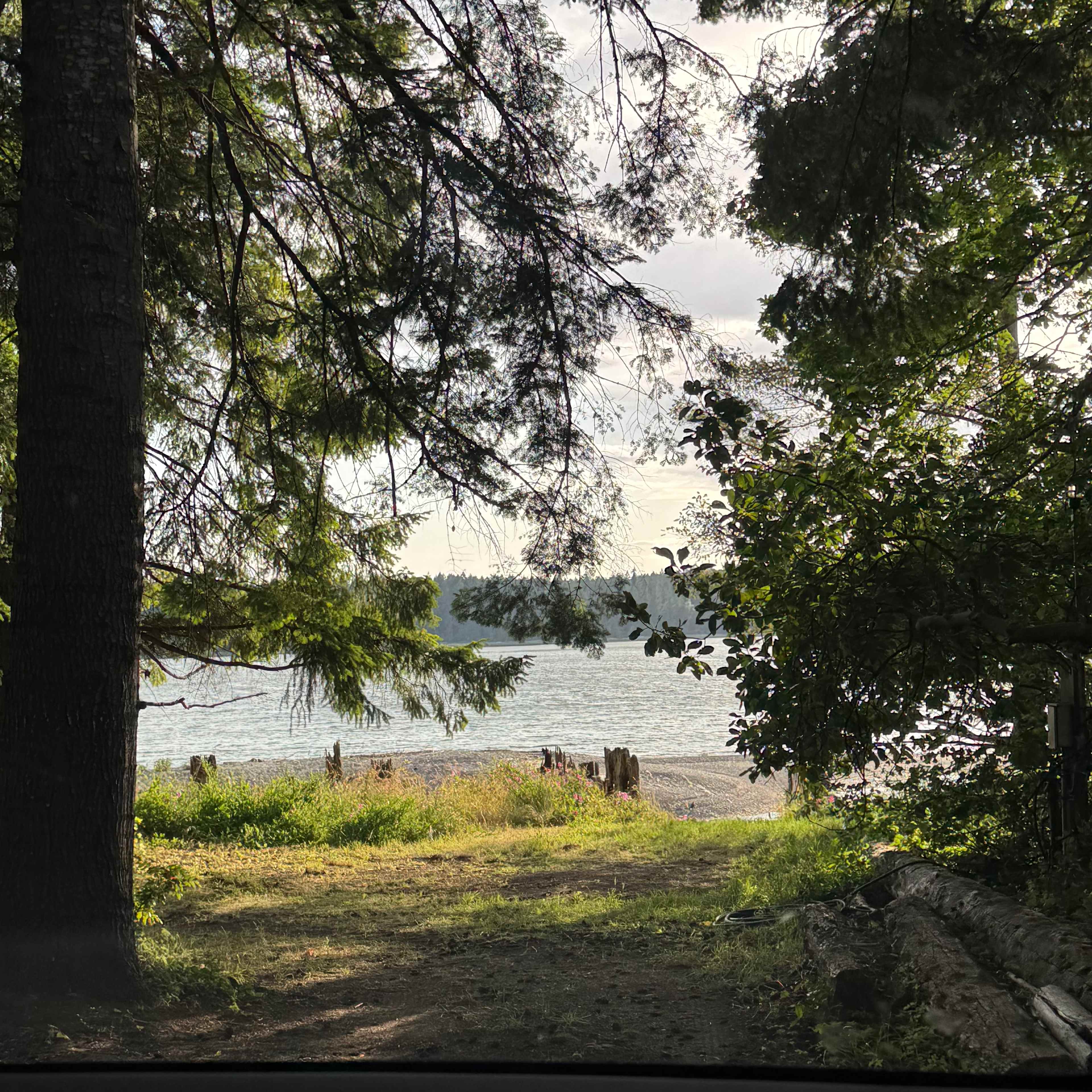 Woodland Grove on the Coast
