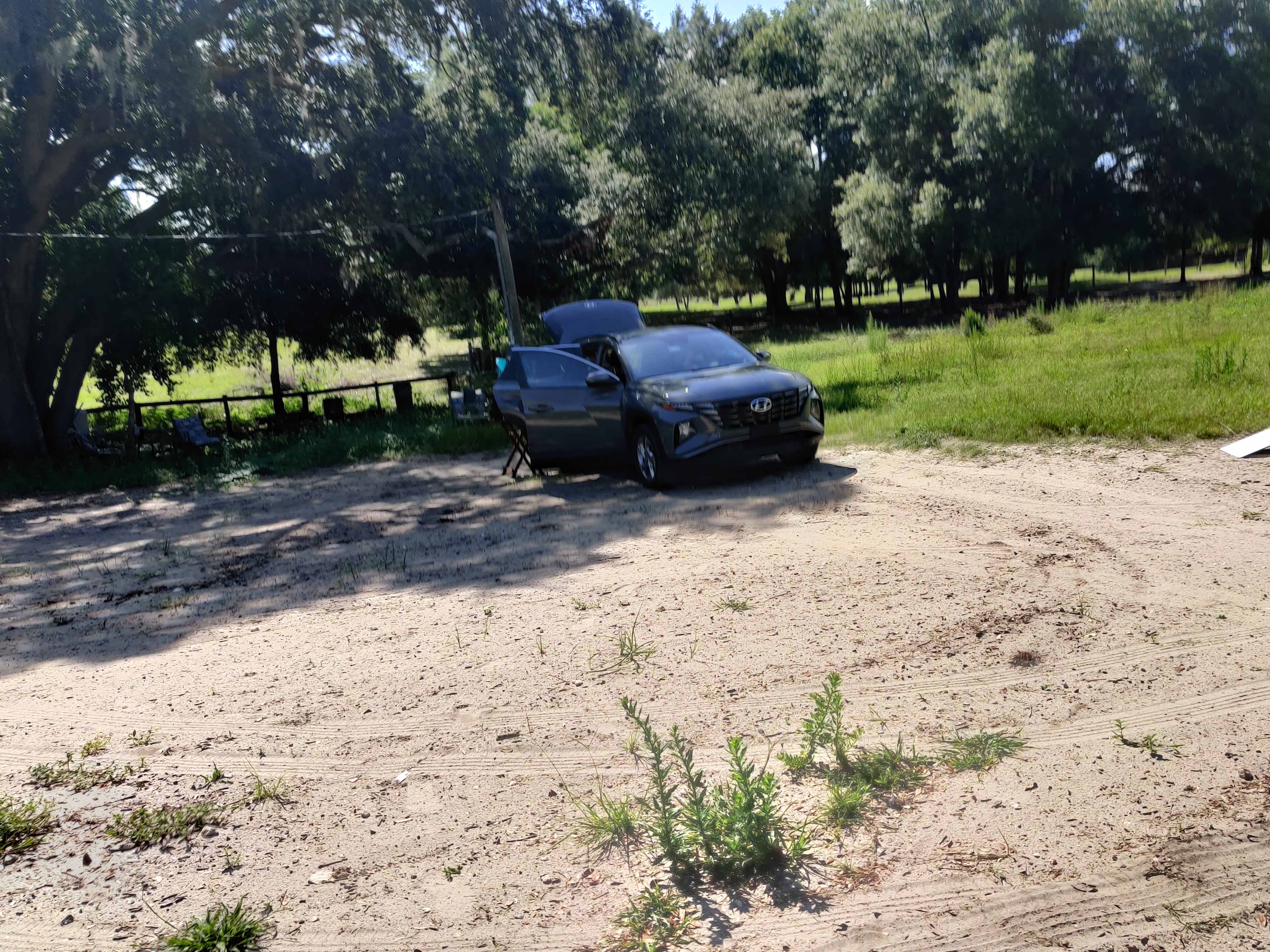 Big Oak Farm  Dog And Horse Camping