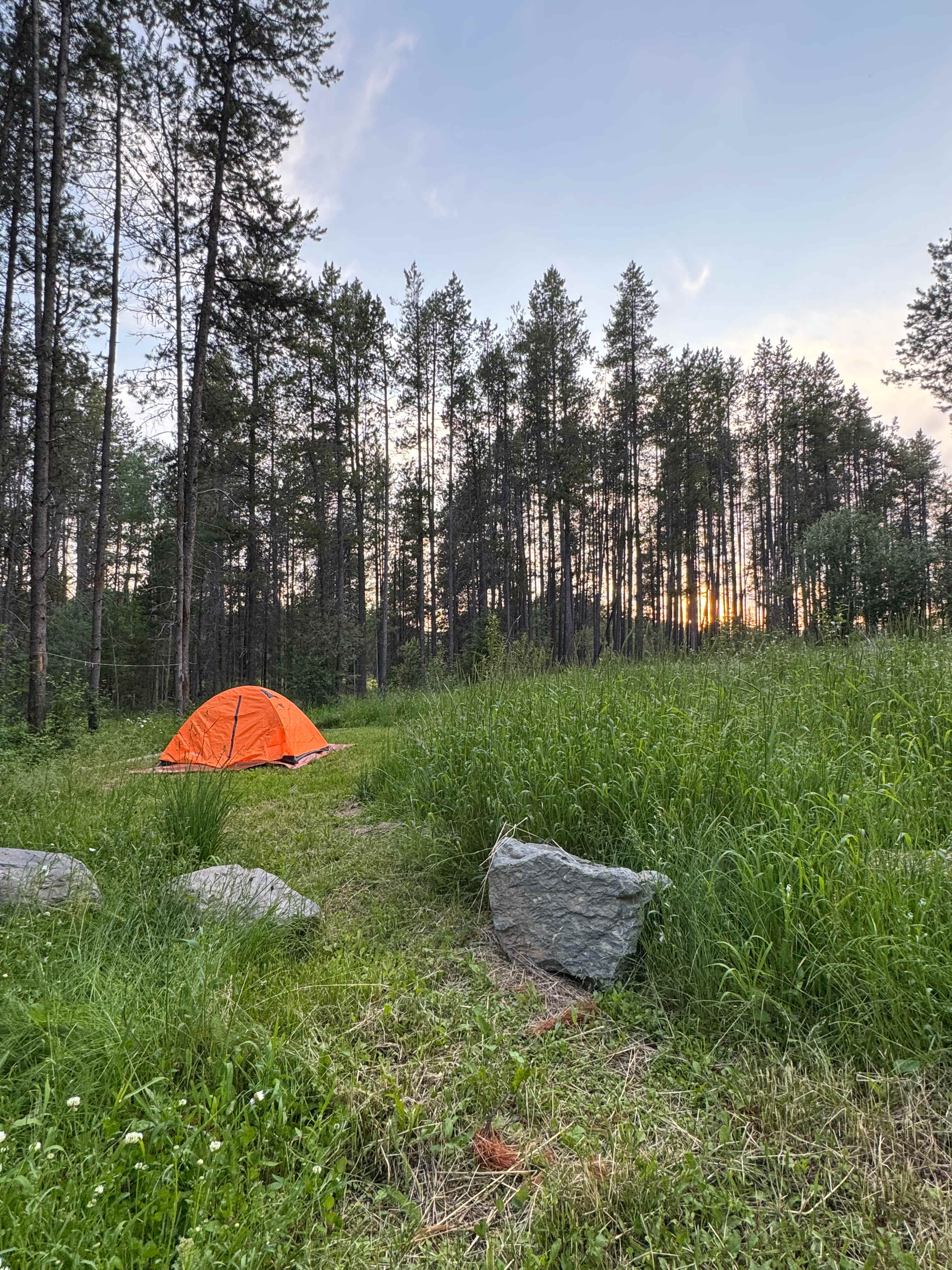 Site 6