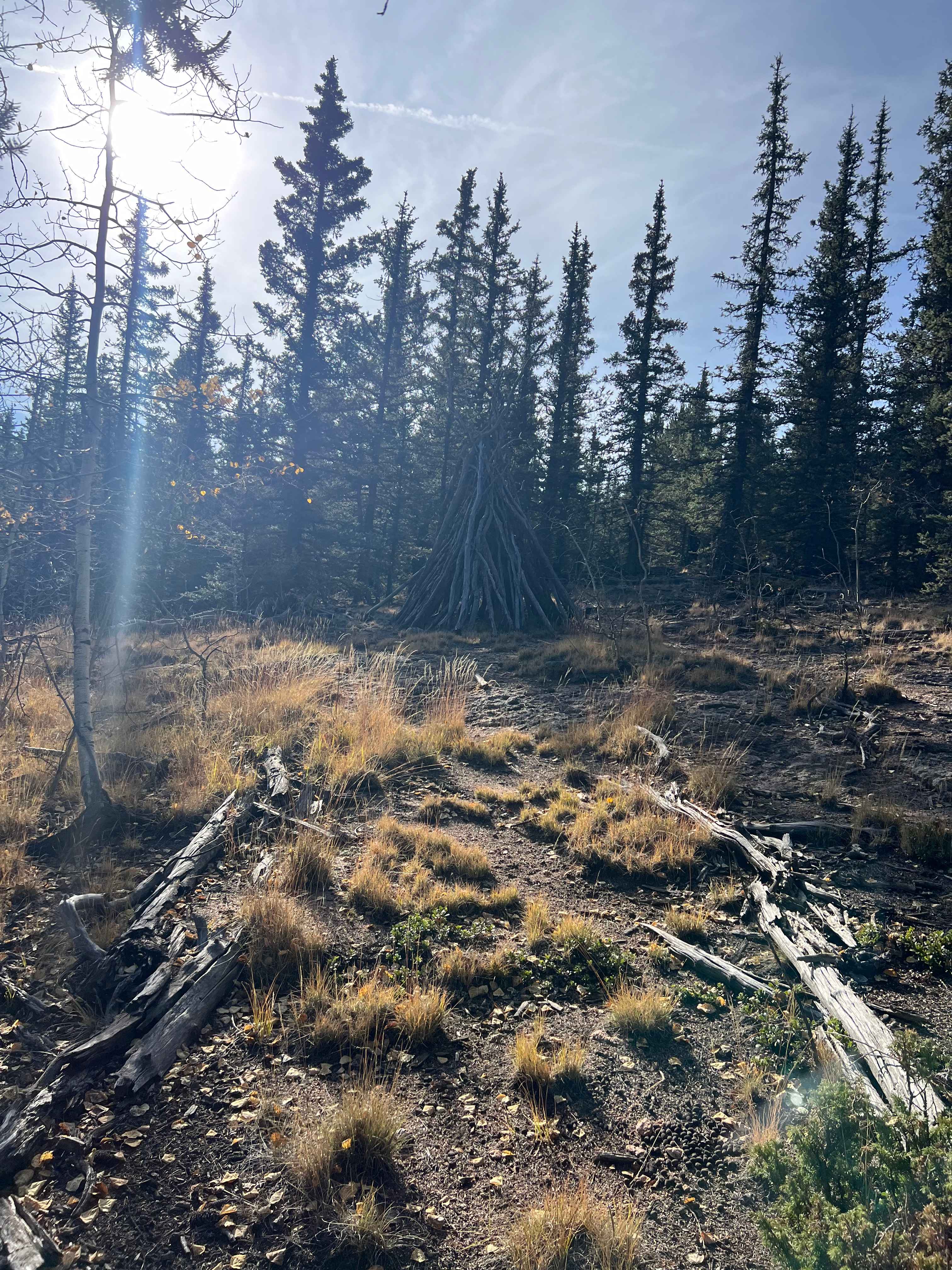 Bear Way
