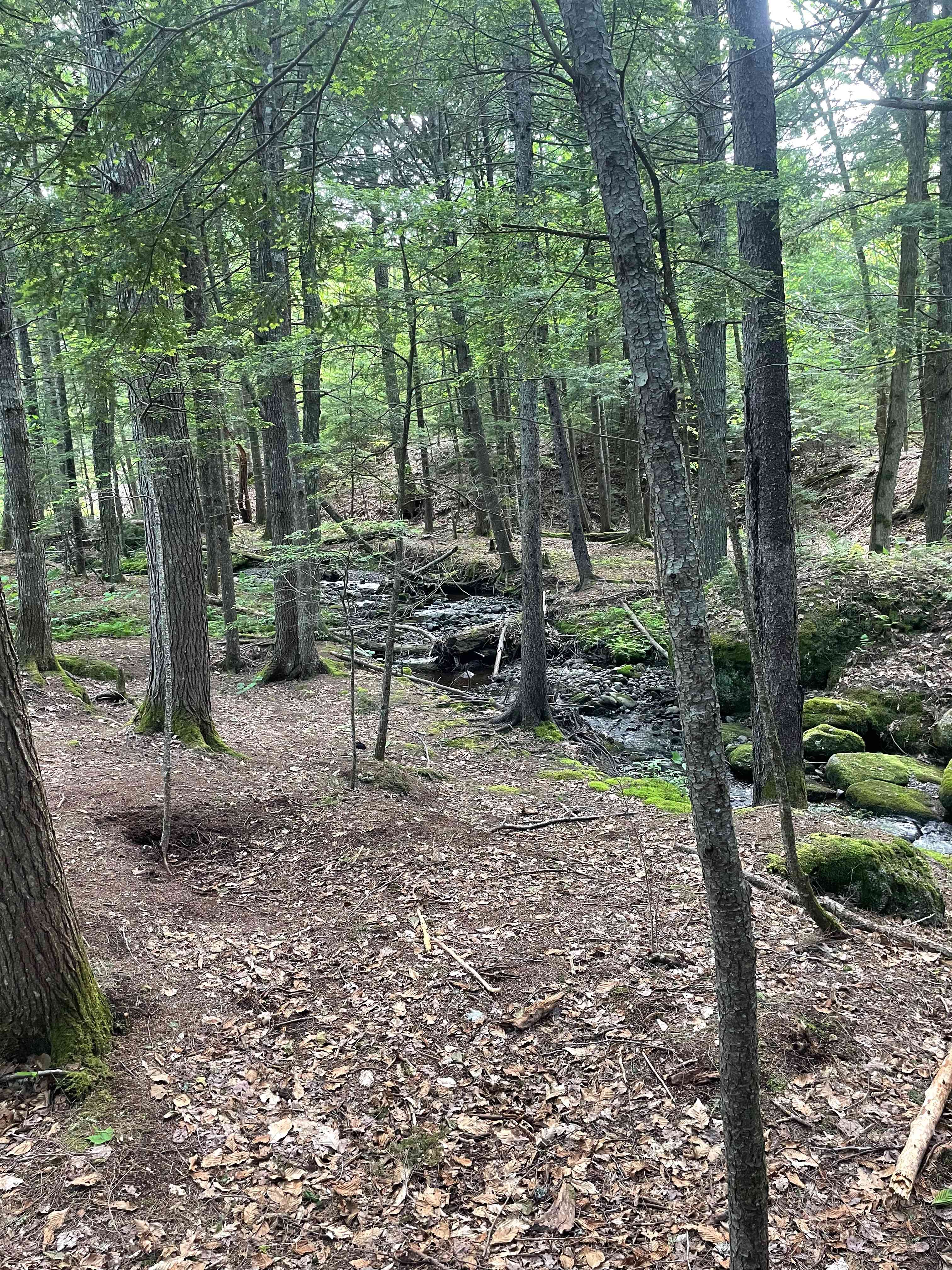 The babbling brook