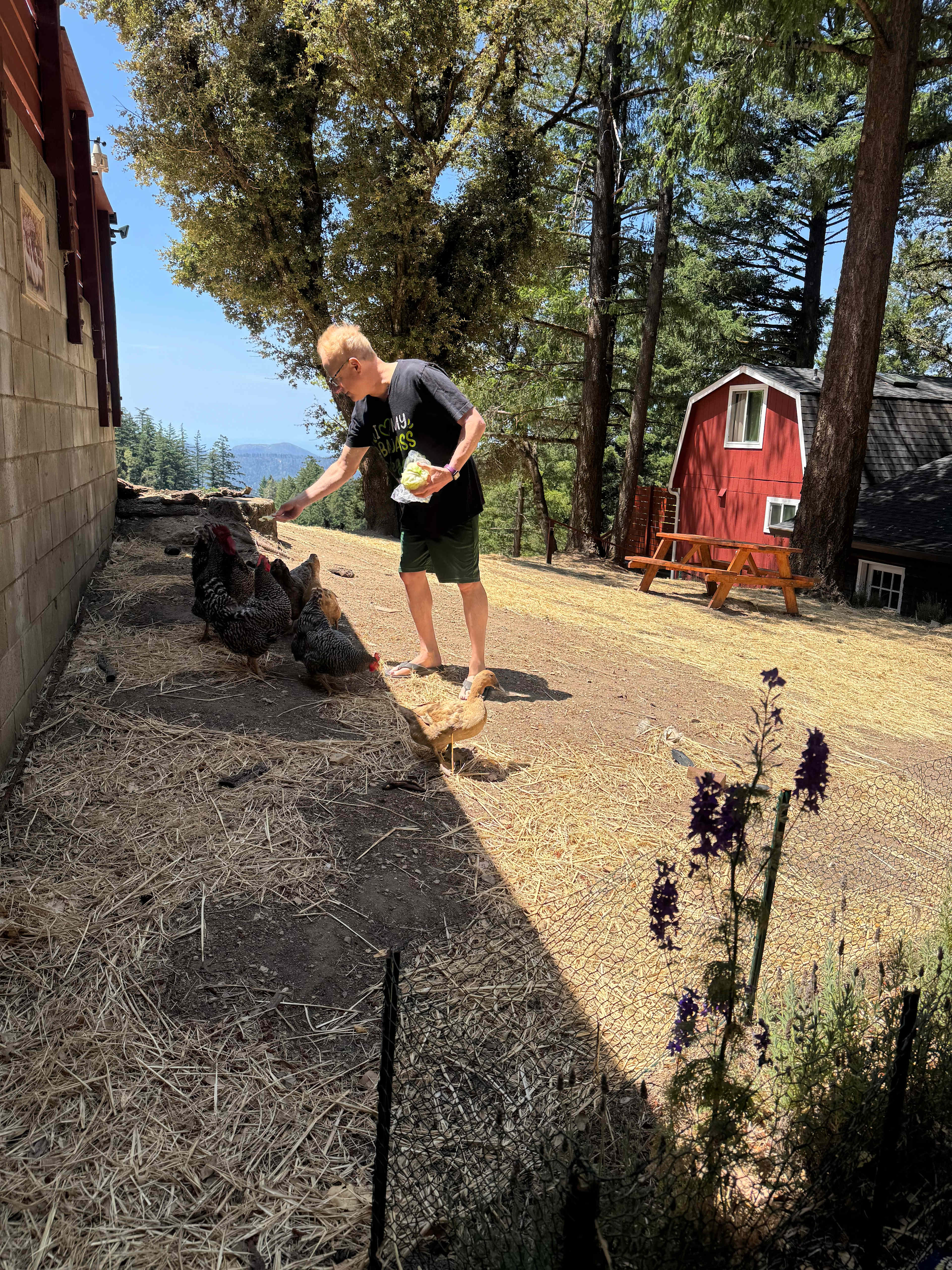 May's Luxury Farmstays