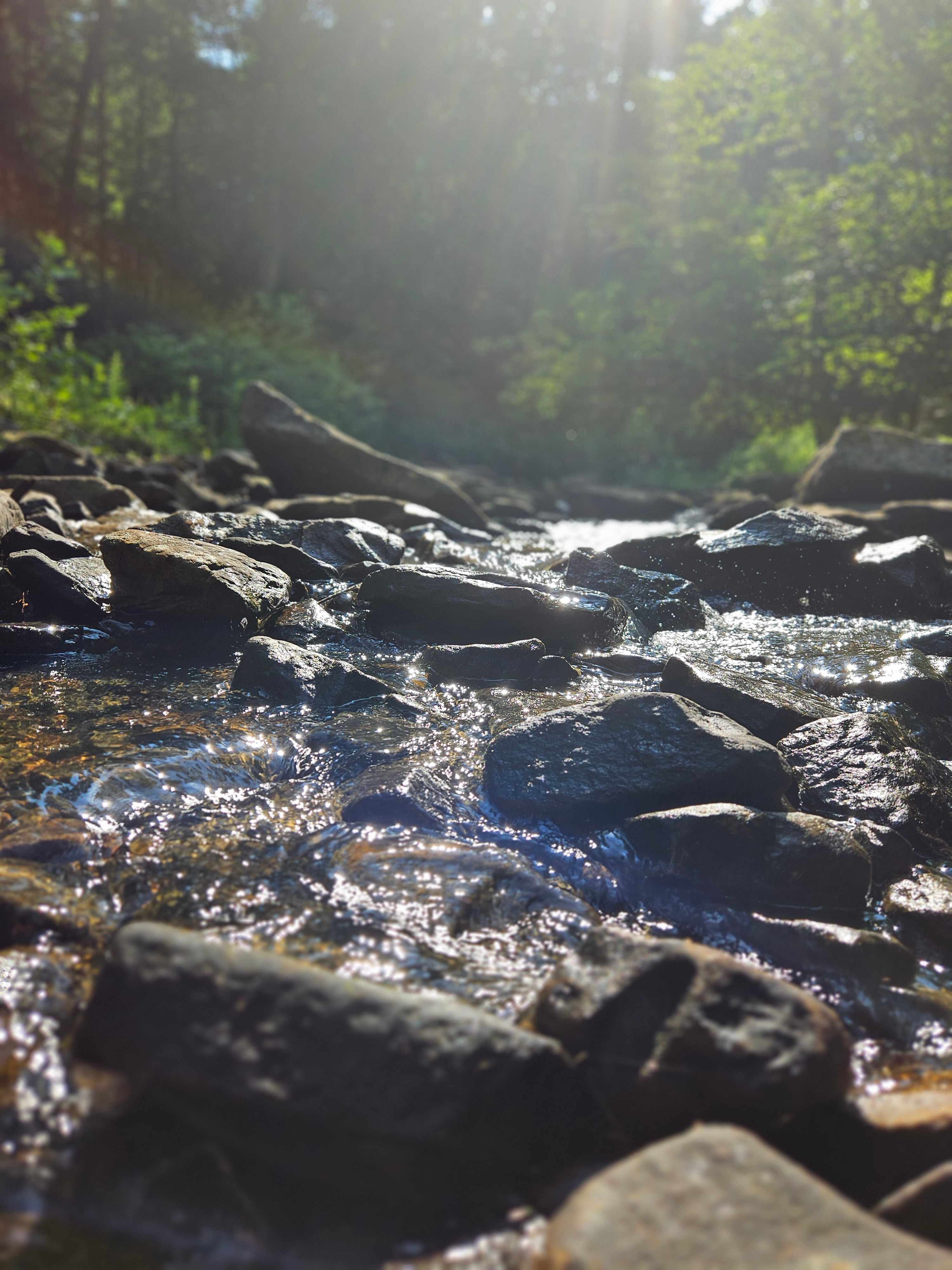 Possum Holler Camp- New River Gorge