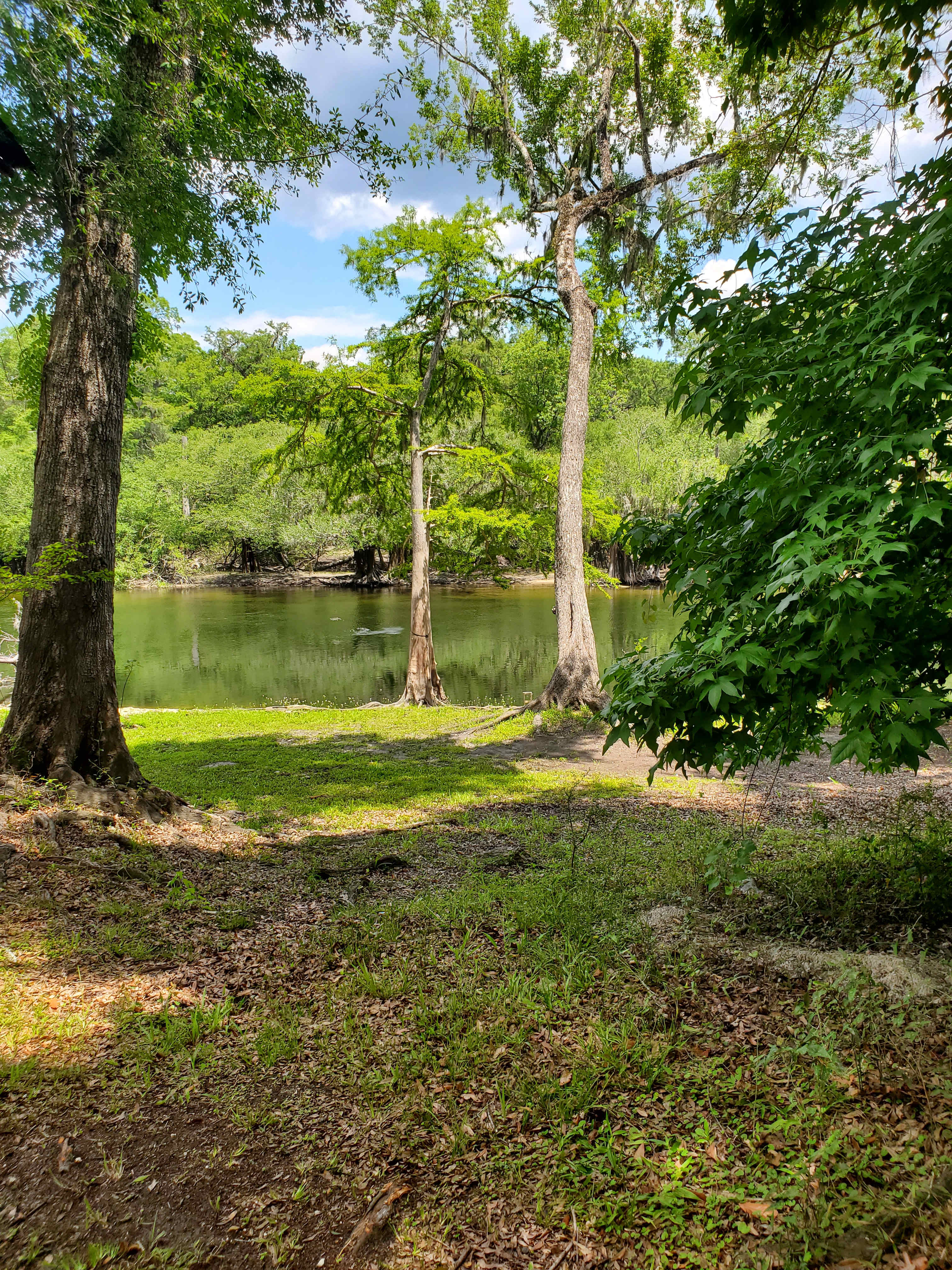 View from the site!