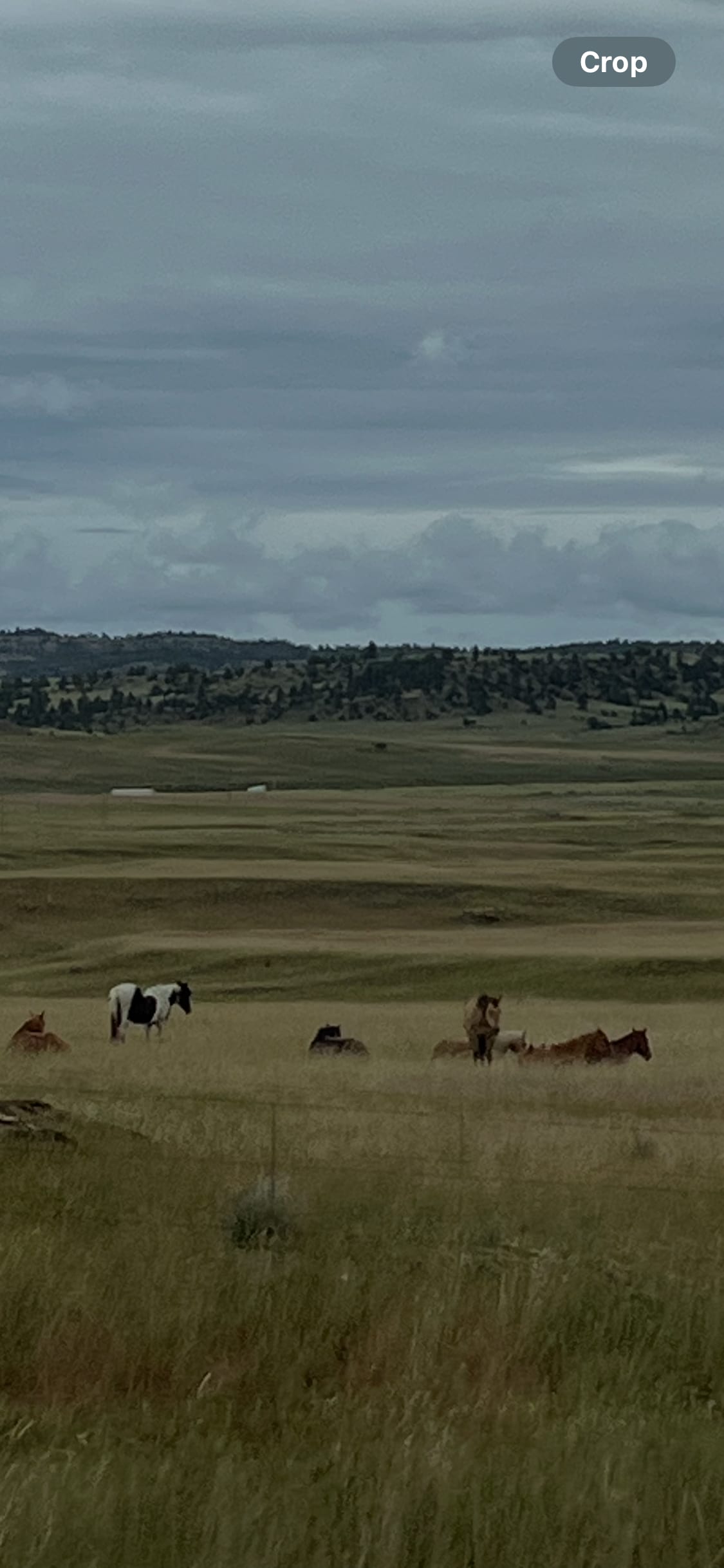 Bull Mountain Views