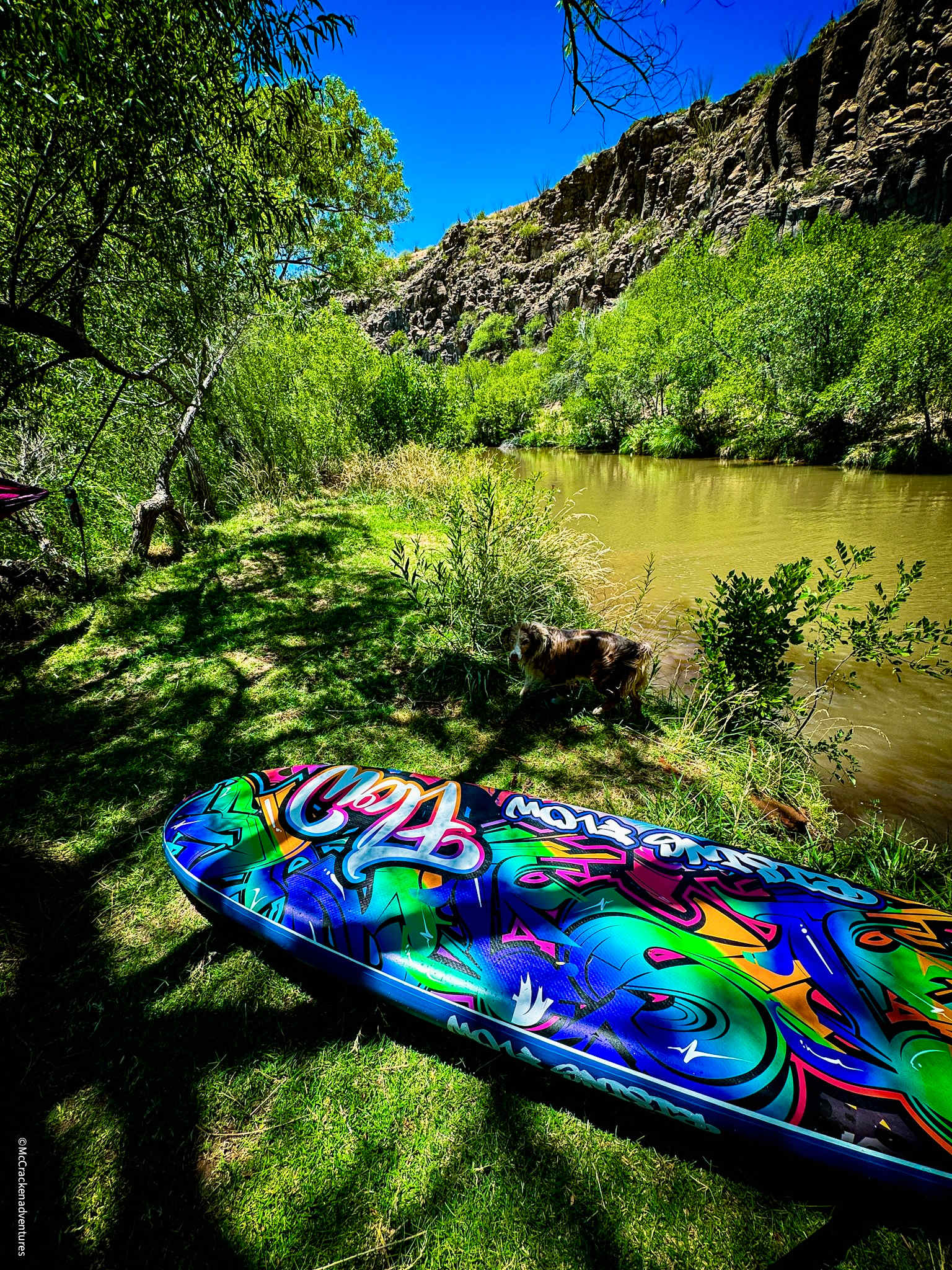 Bookable SUP Adventures on the Verde River 