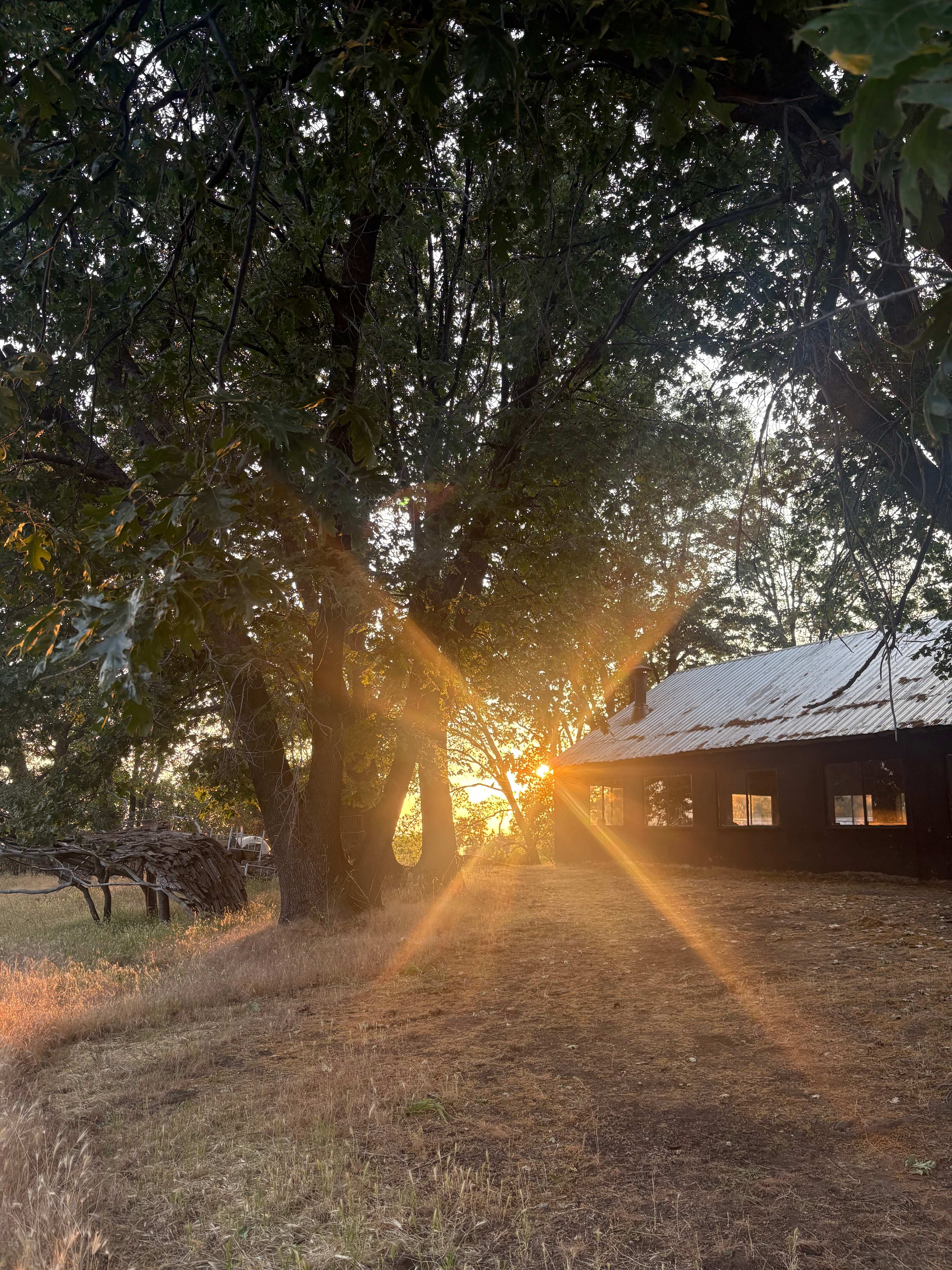 Sequoia Highland Camp