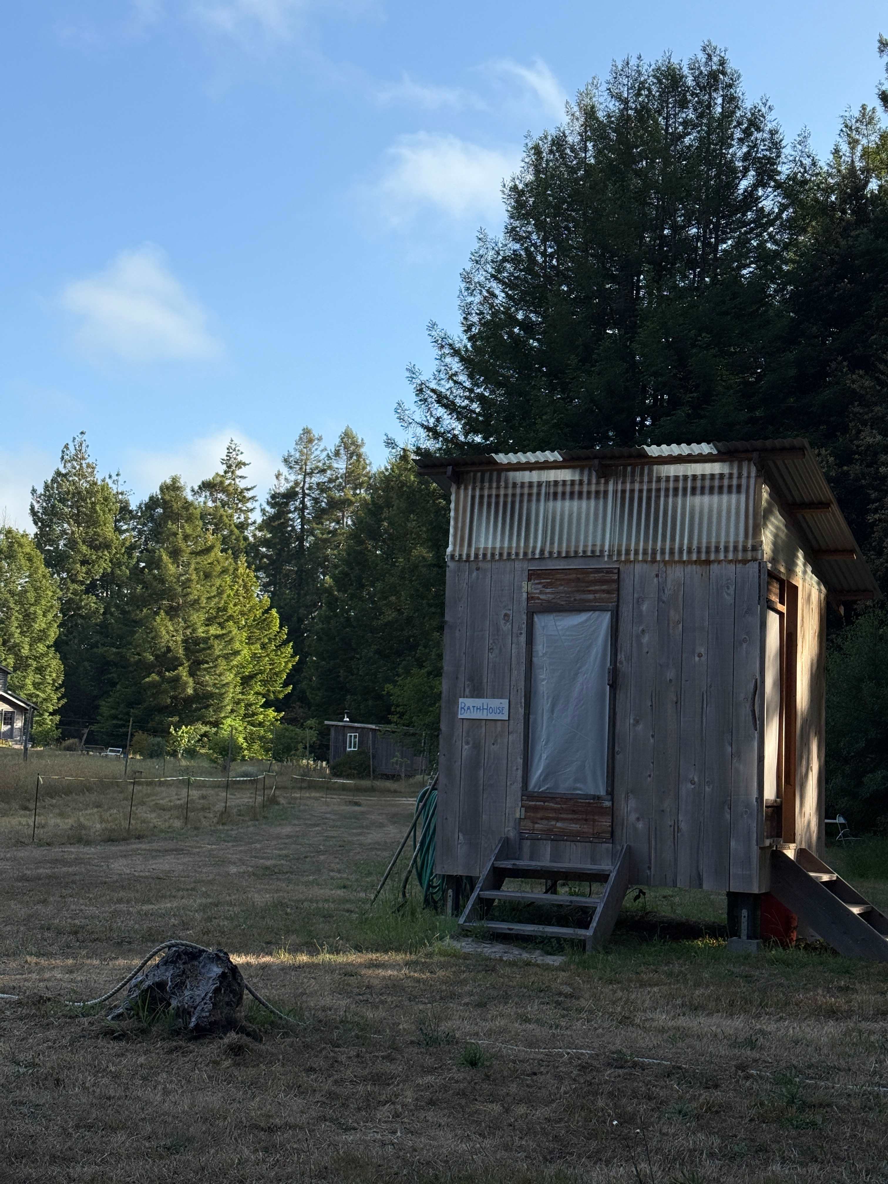 Meadow Farm & Forest