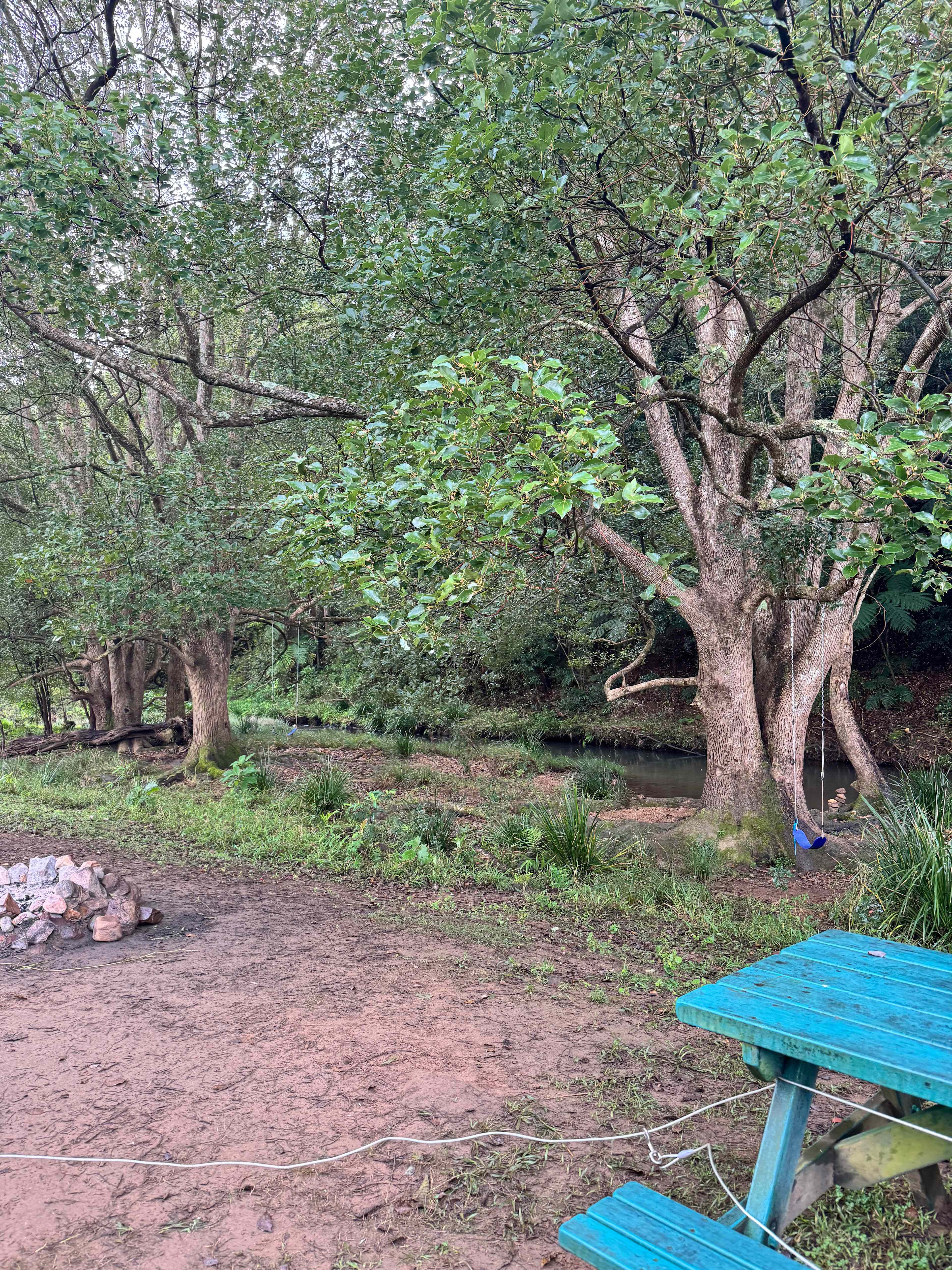Rowlands Creek Camp Area