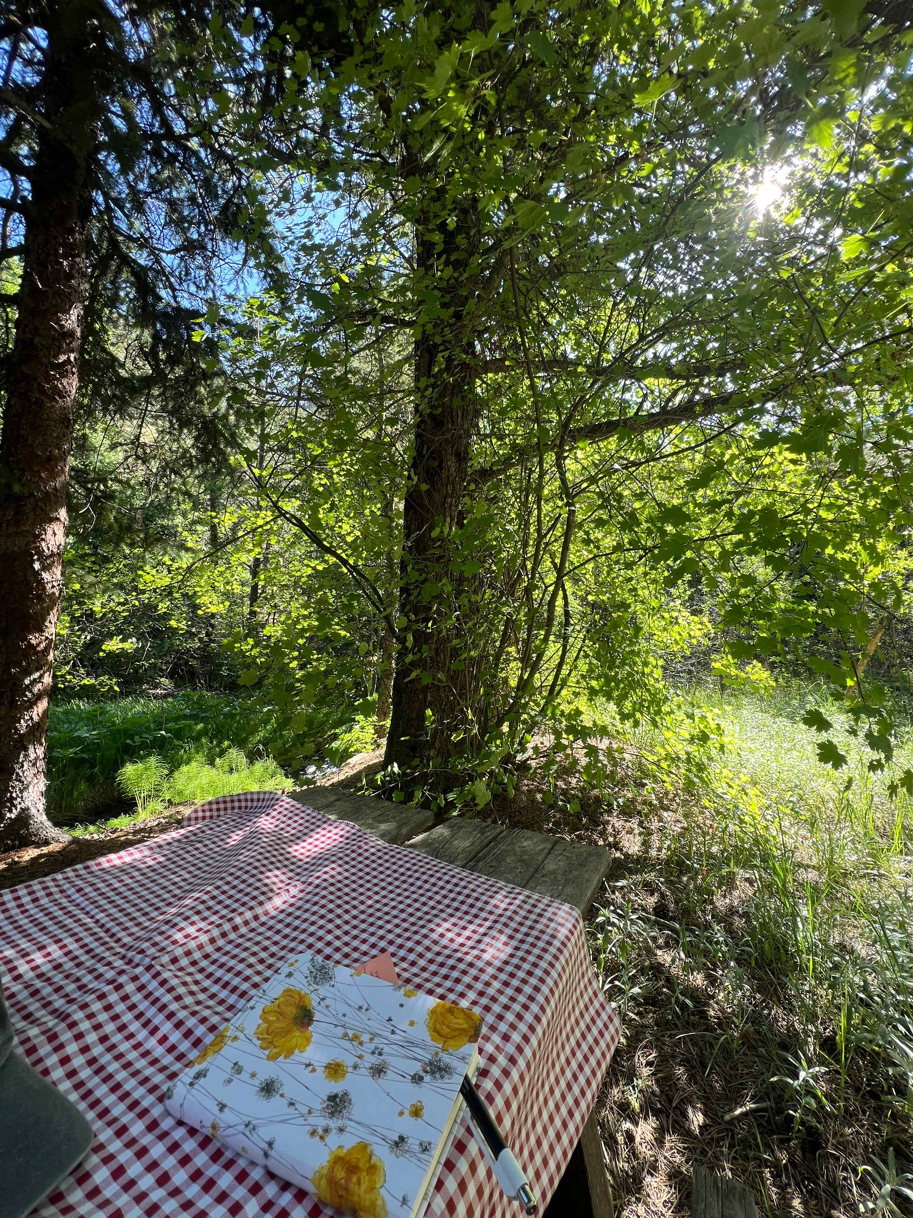 Perfect journaling spot