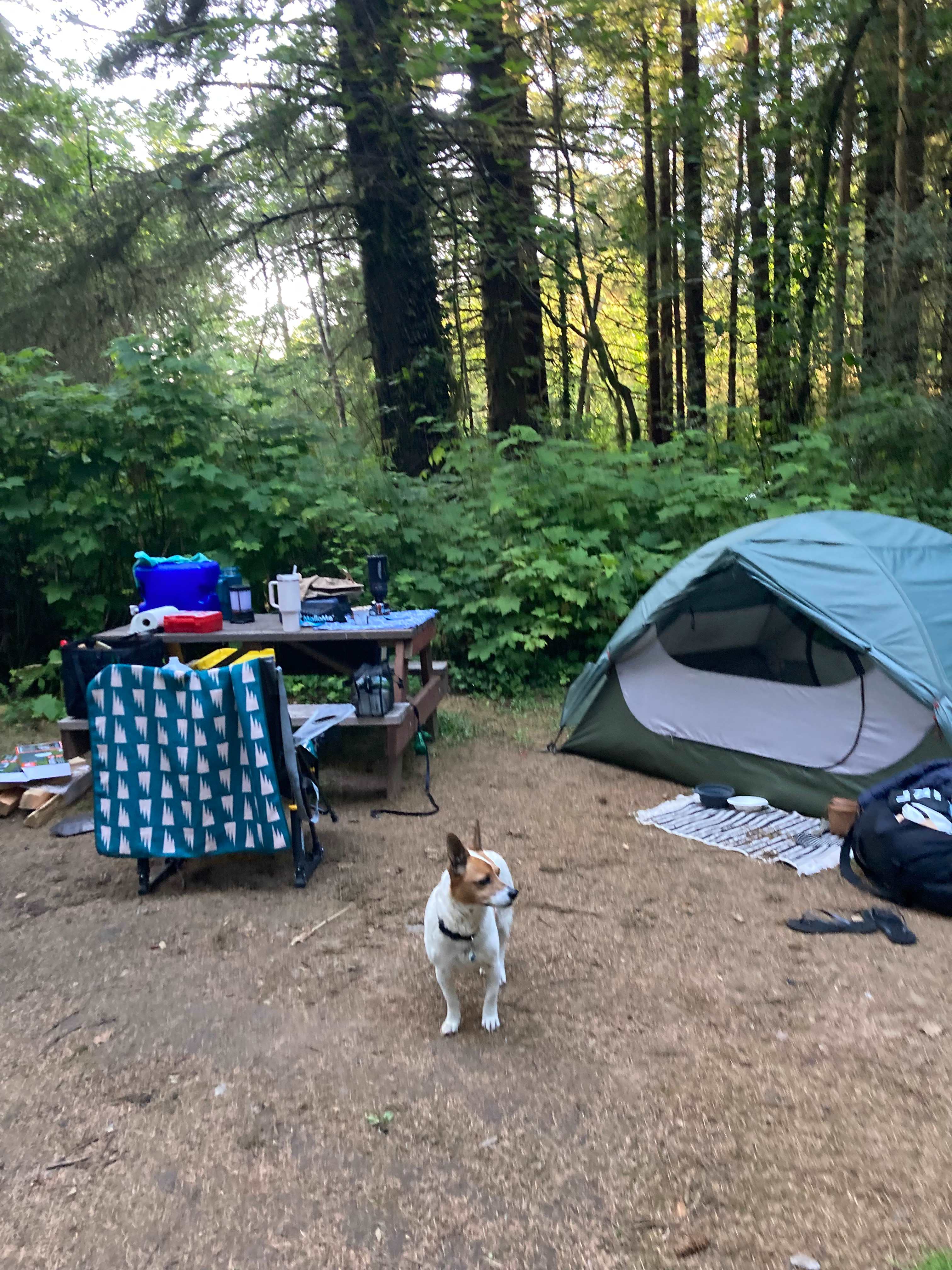 Dog friendly too! 