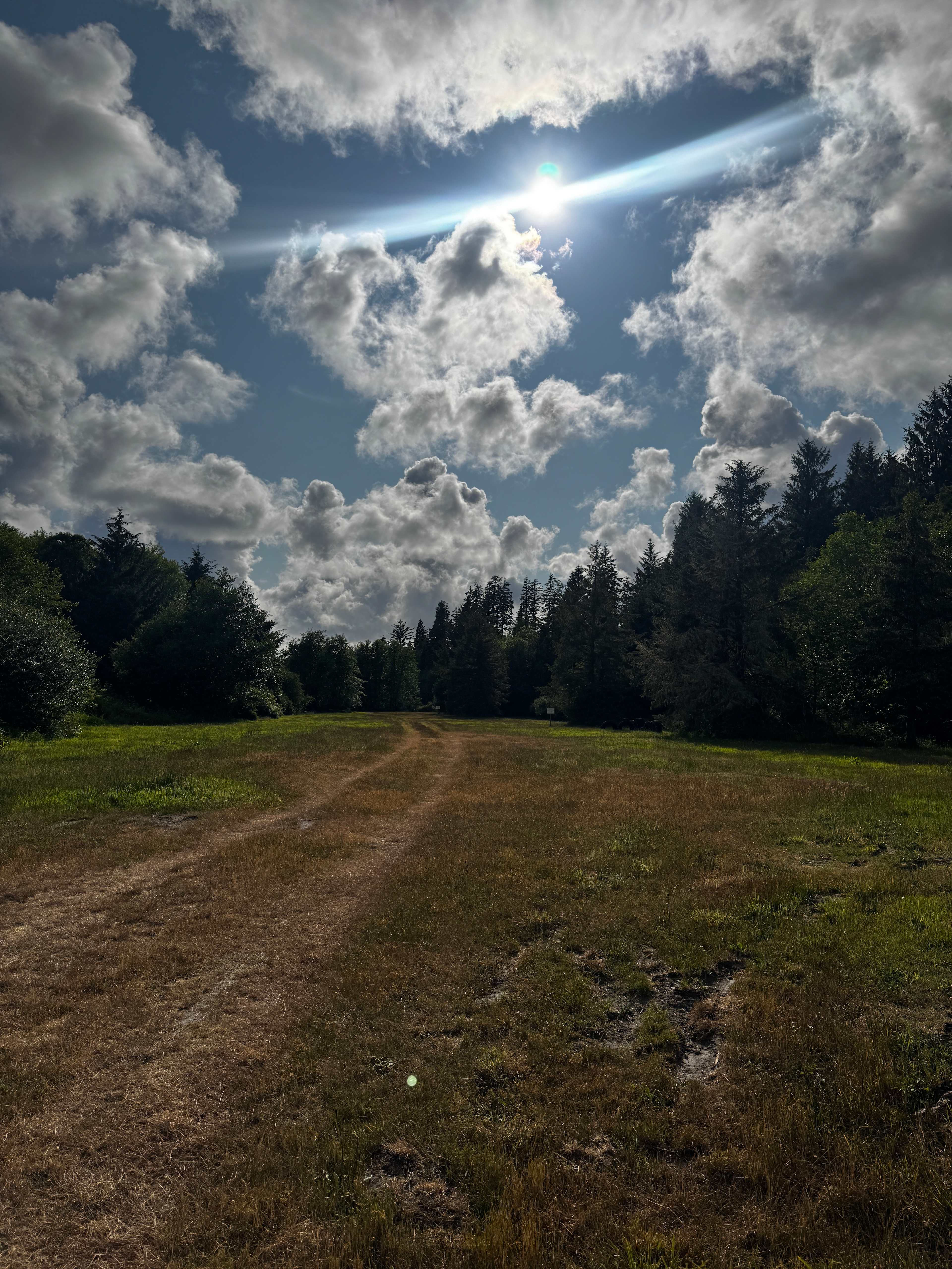 Rhett's Ranch