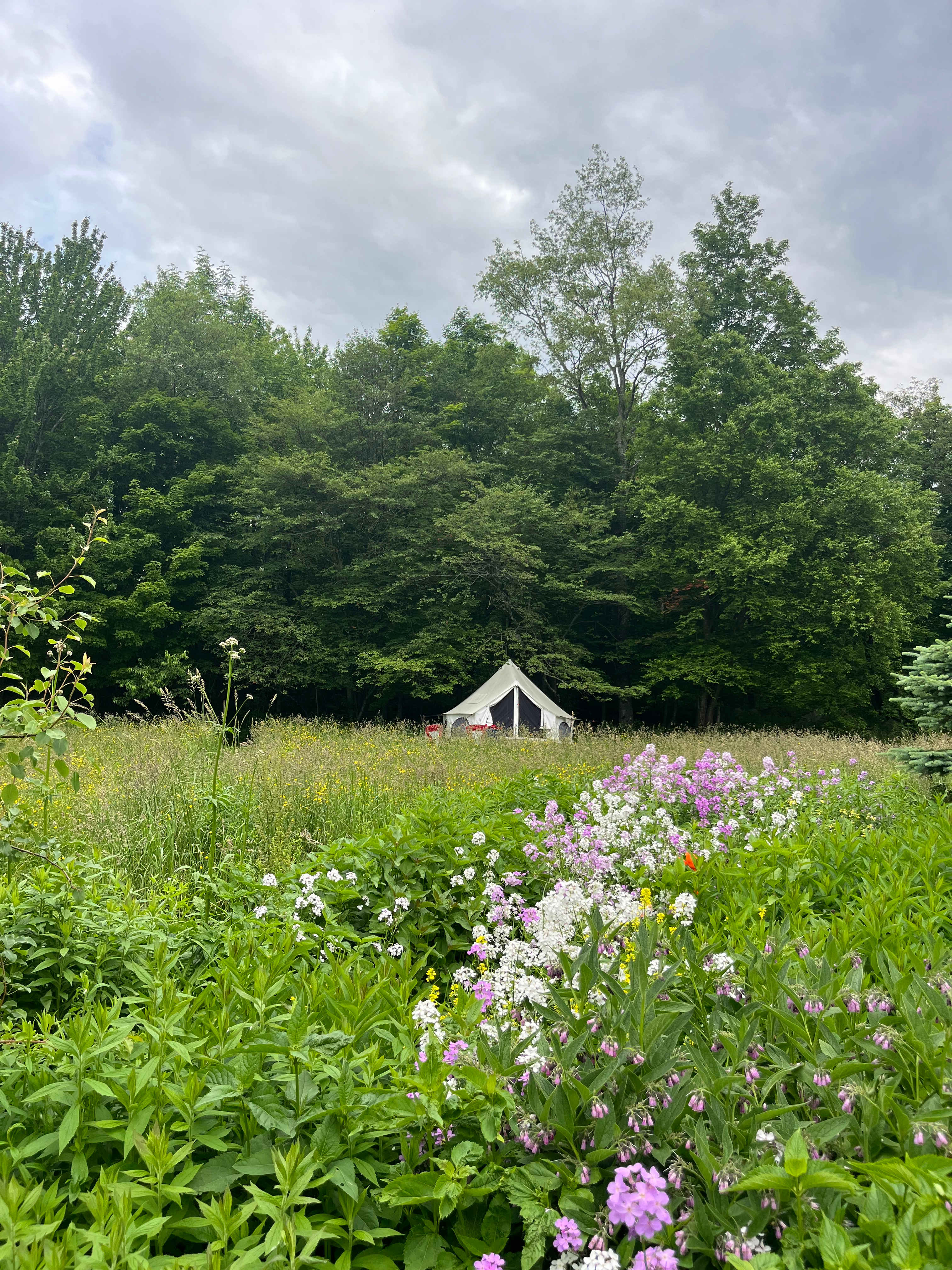 Metta Earth Farm Stay