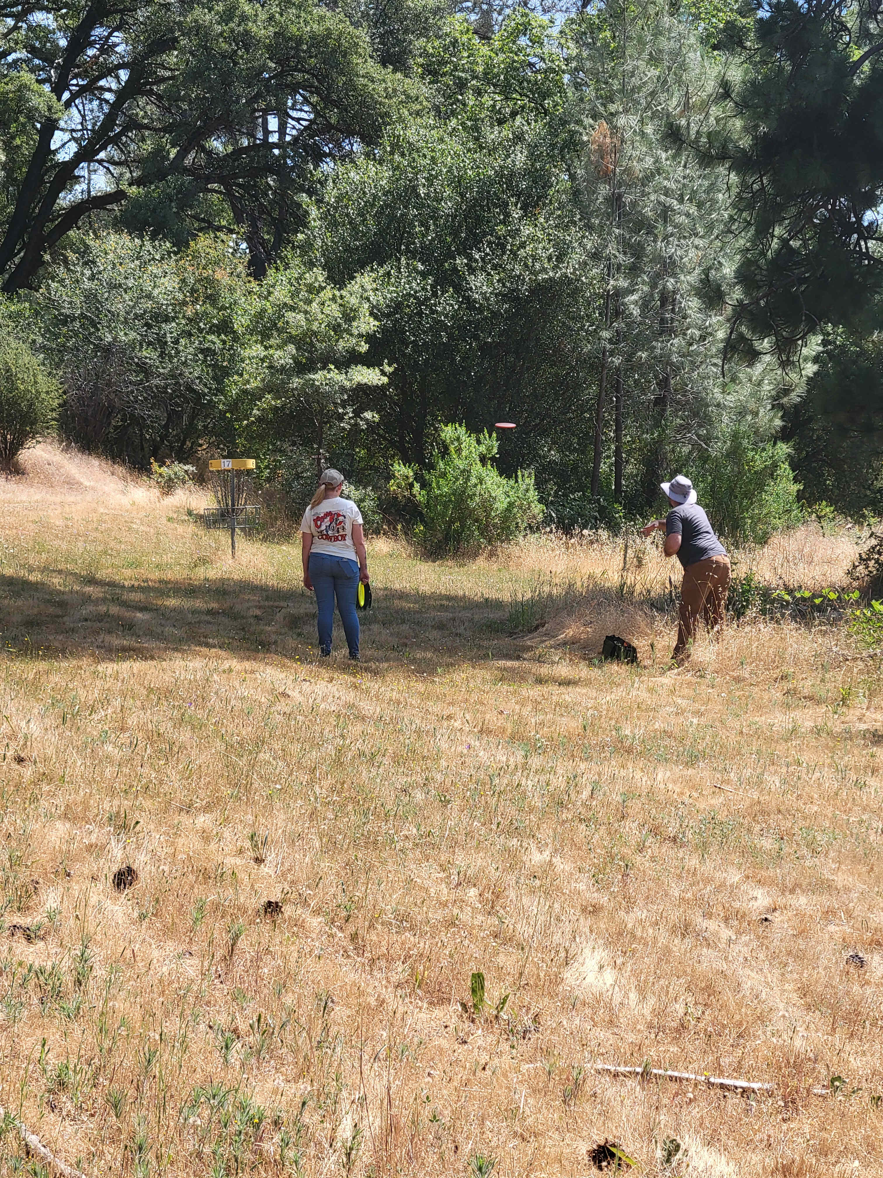 Disc golf course