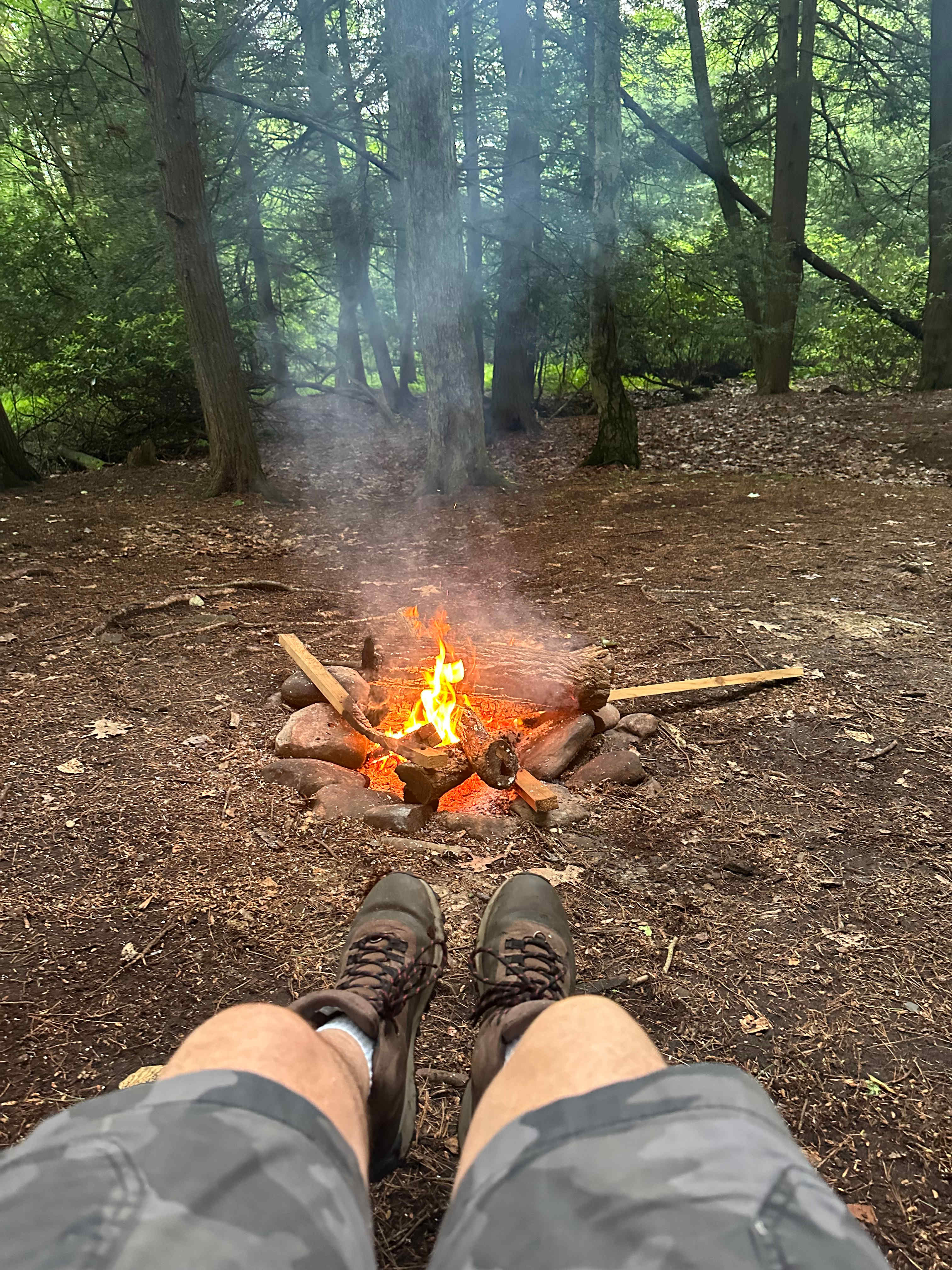 Bald Eagle Campsite