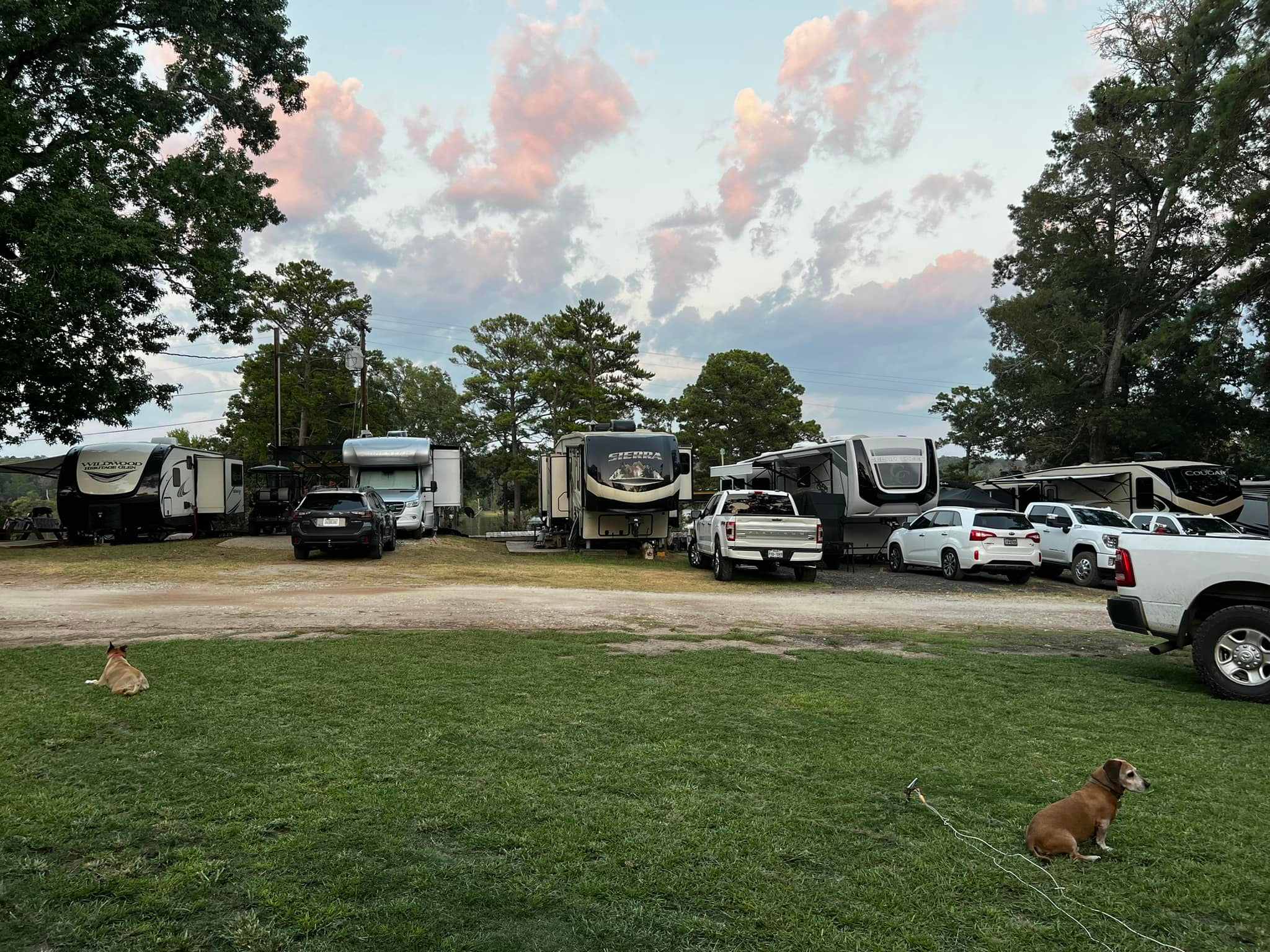 Shirley Creek Marina and Campground