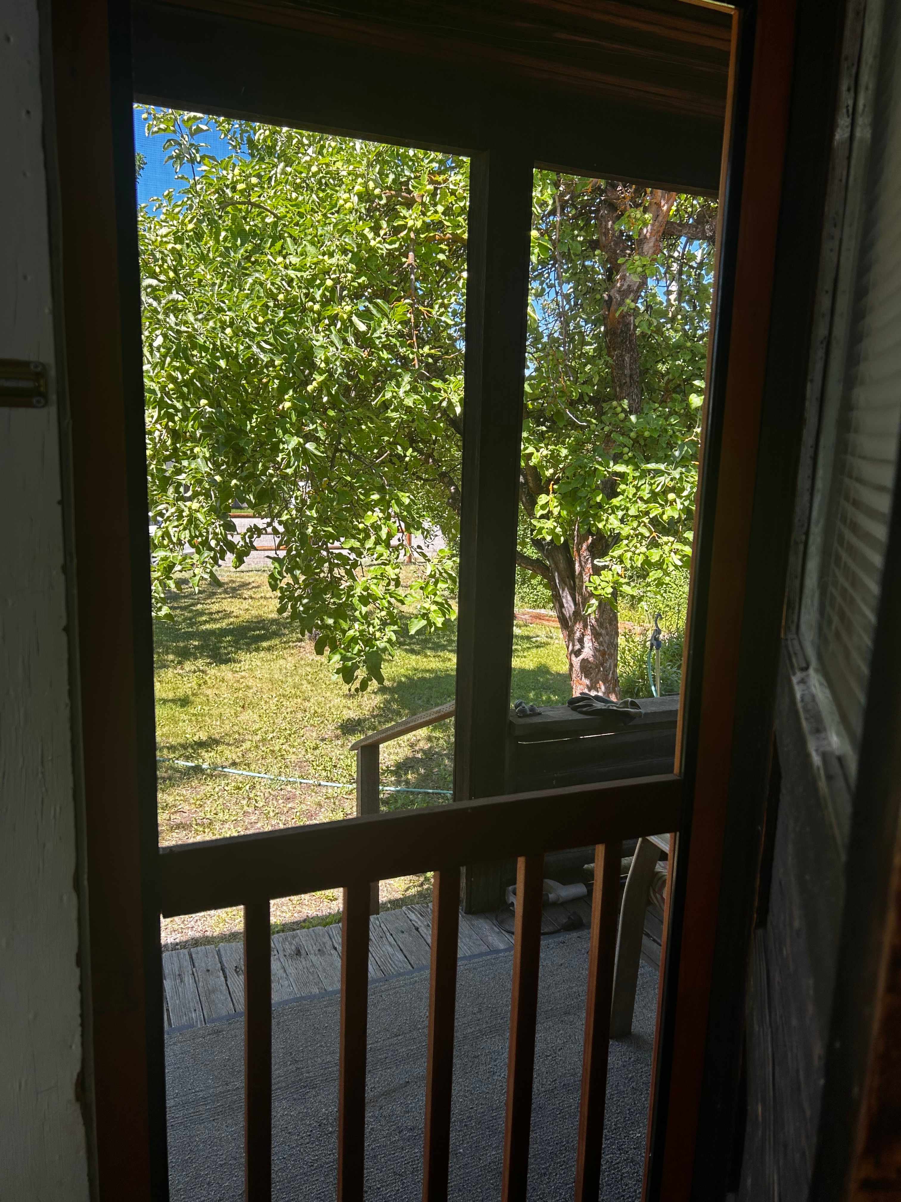 Rustic In Ronald