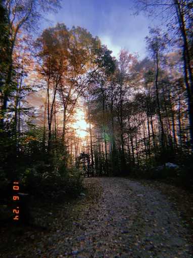 Fernwood Forest Campground