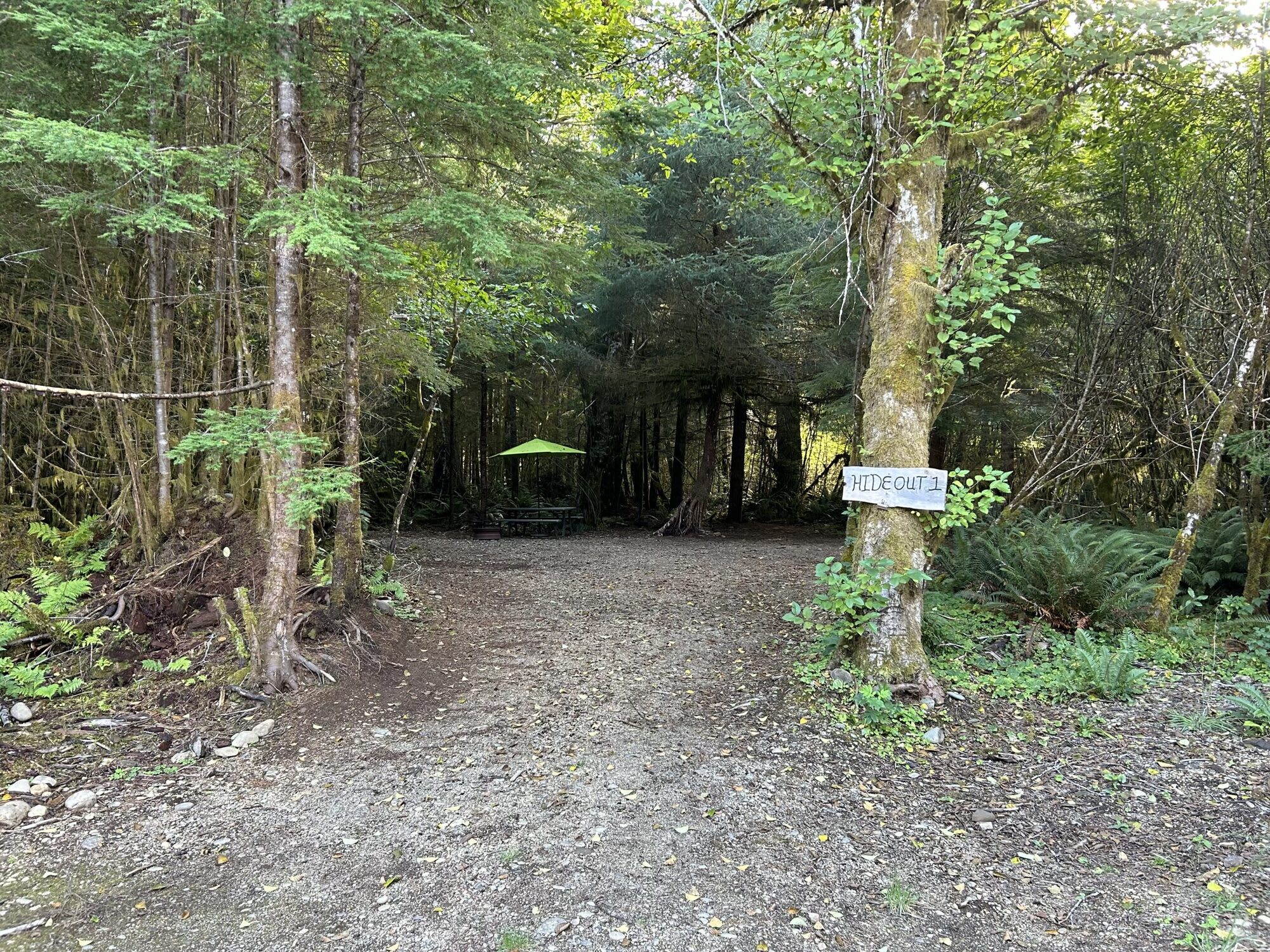 Dawleys SolDuc River Campground