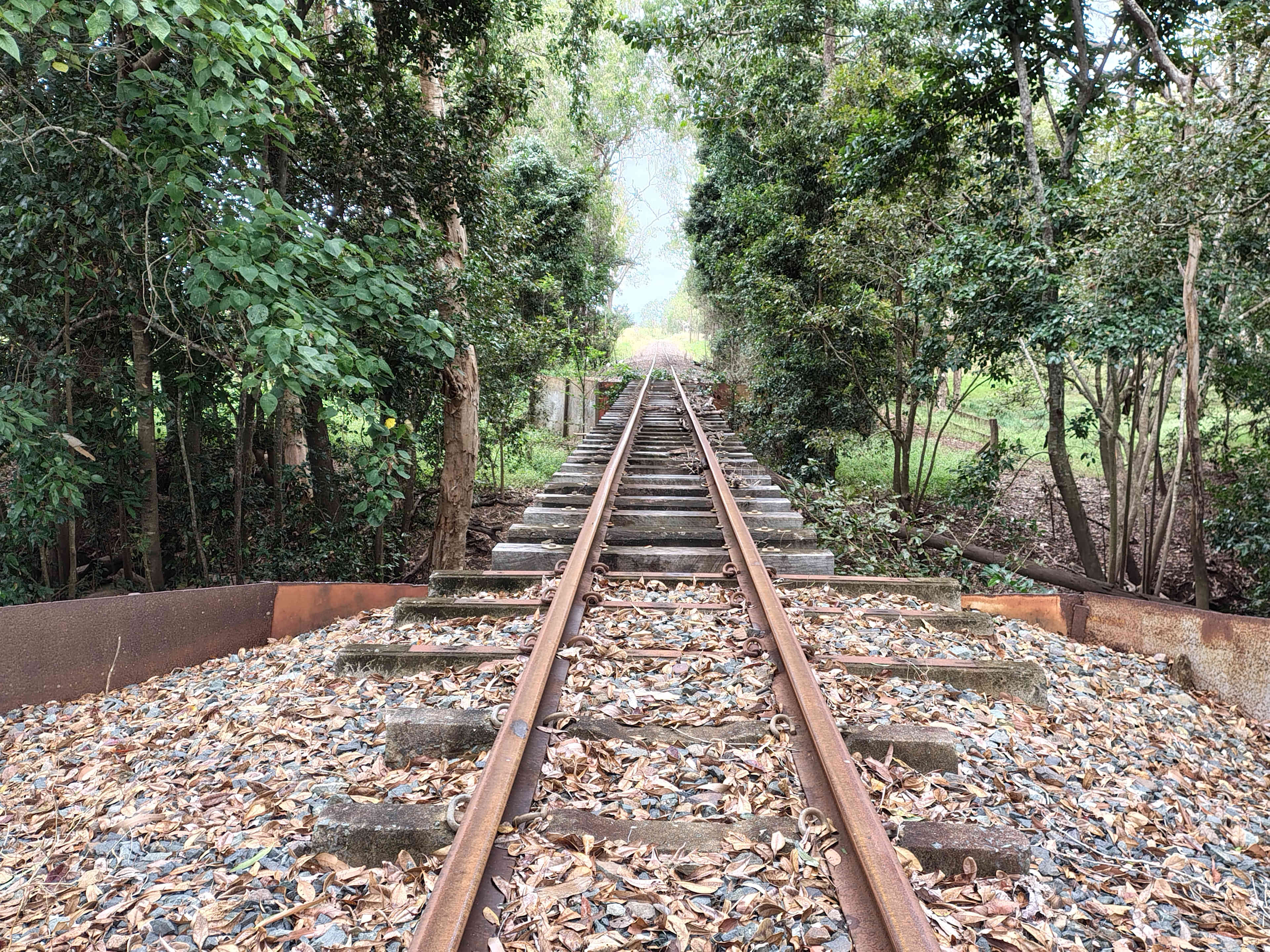 Sugarcane railway on border of property