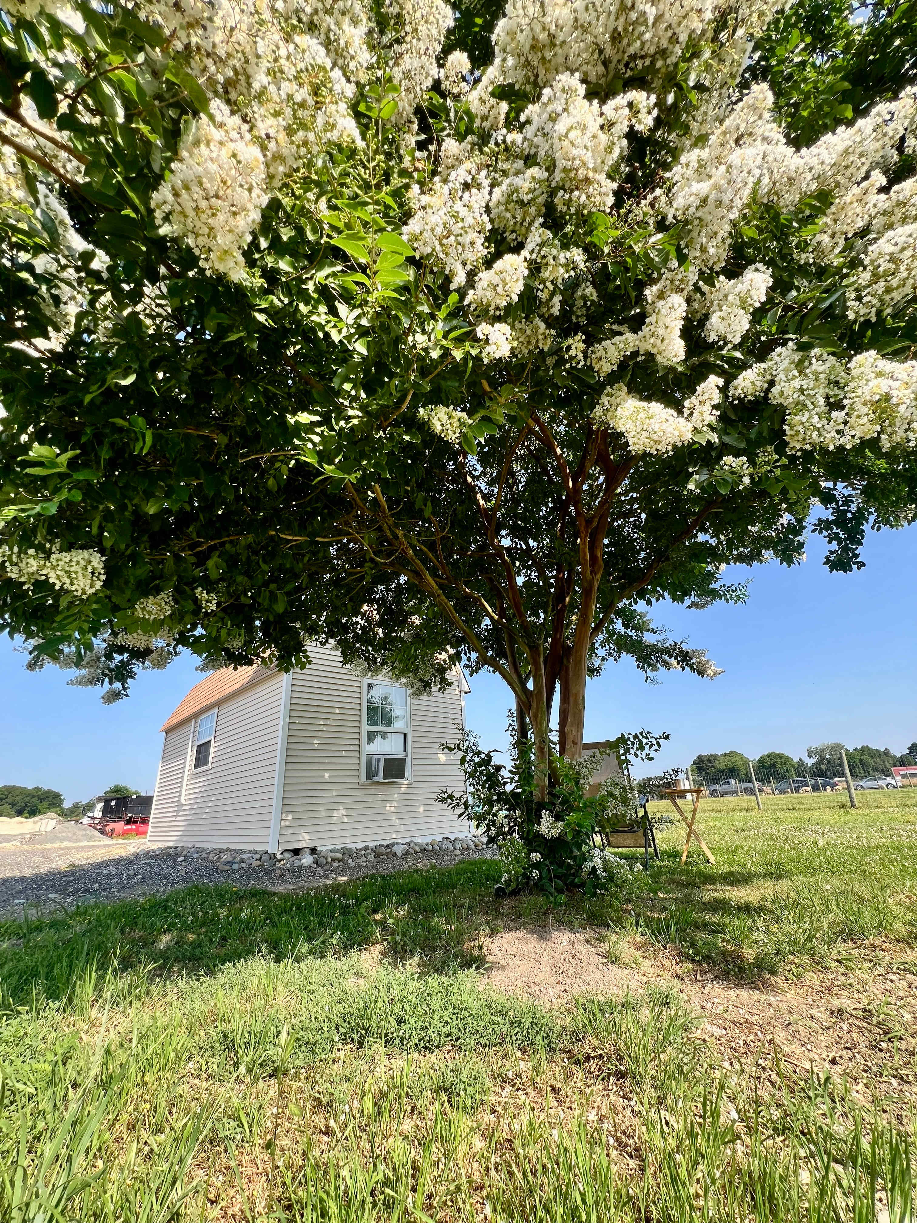 Back of tiny house