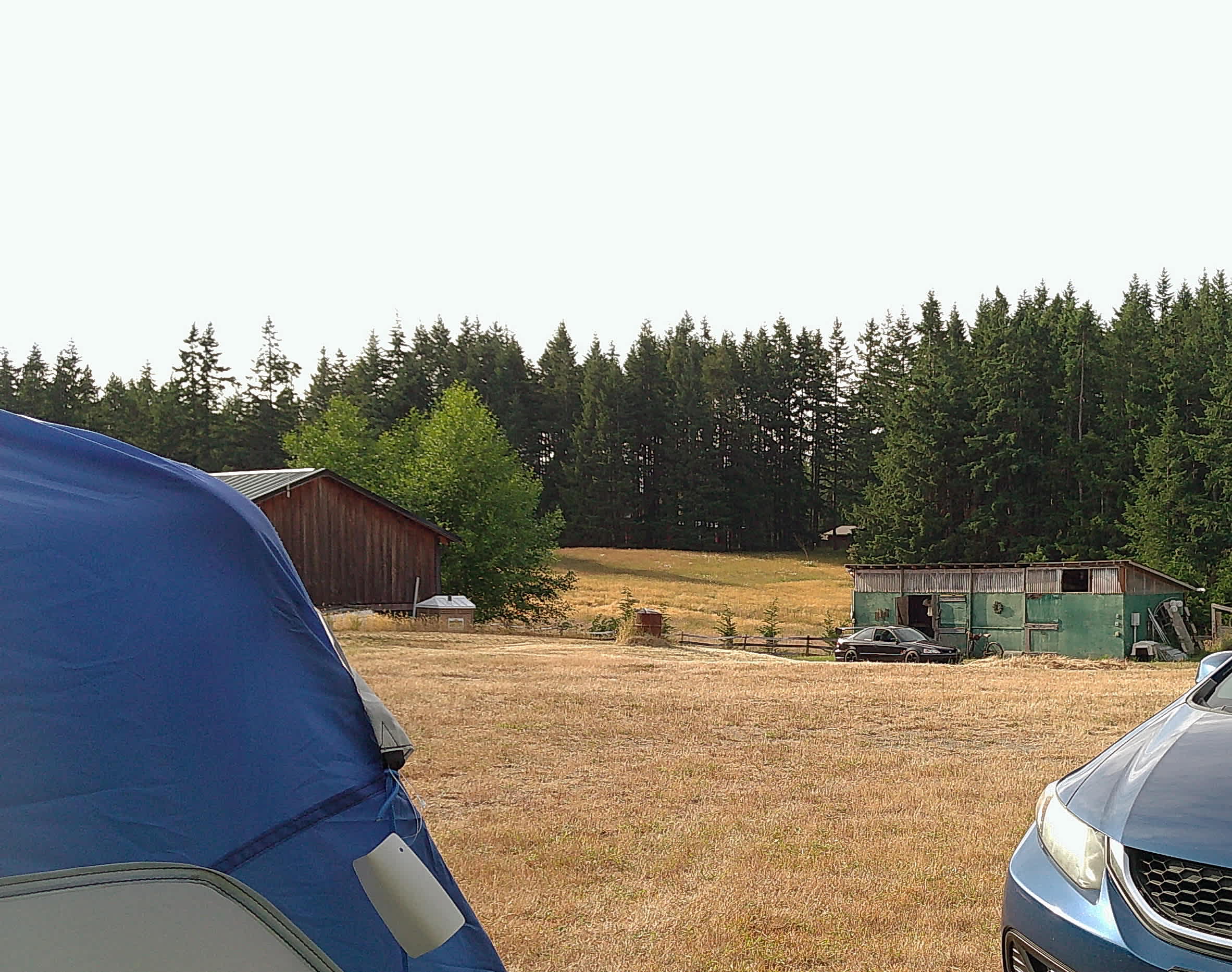 Fern Gully Camp