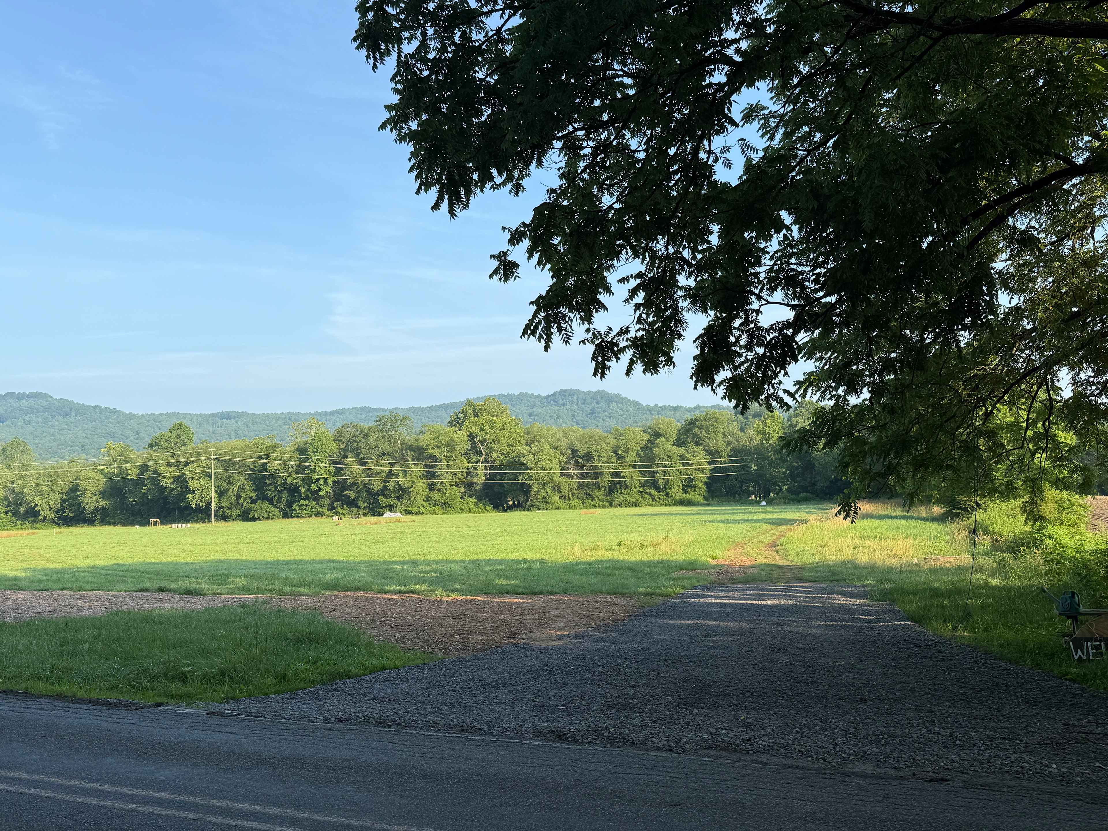 Josie's Field