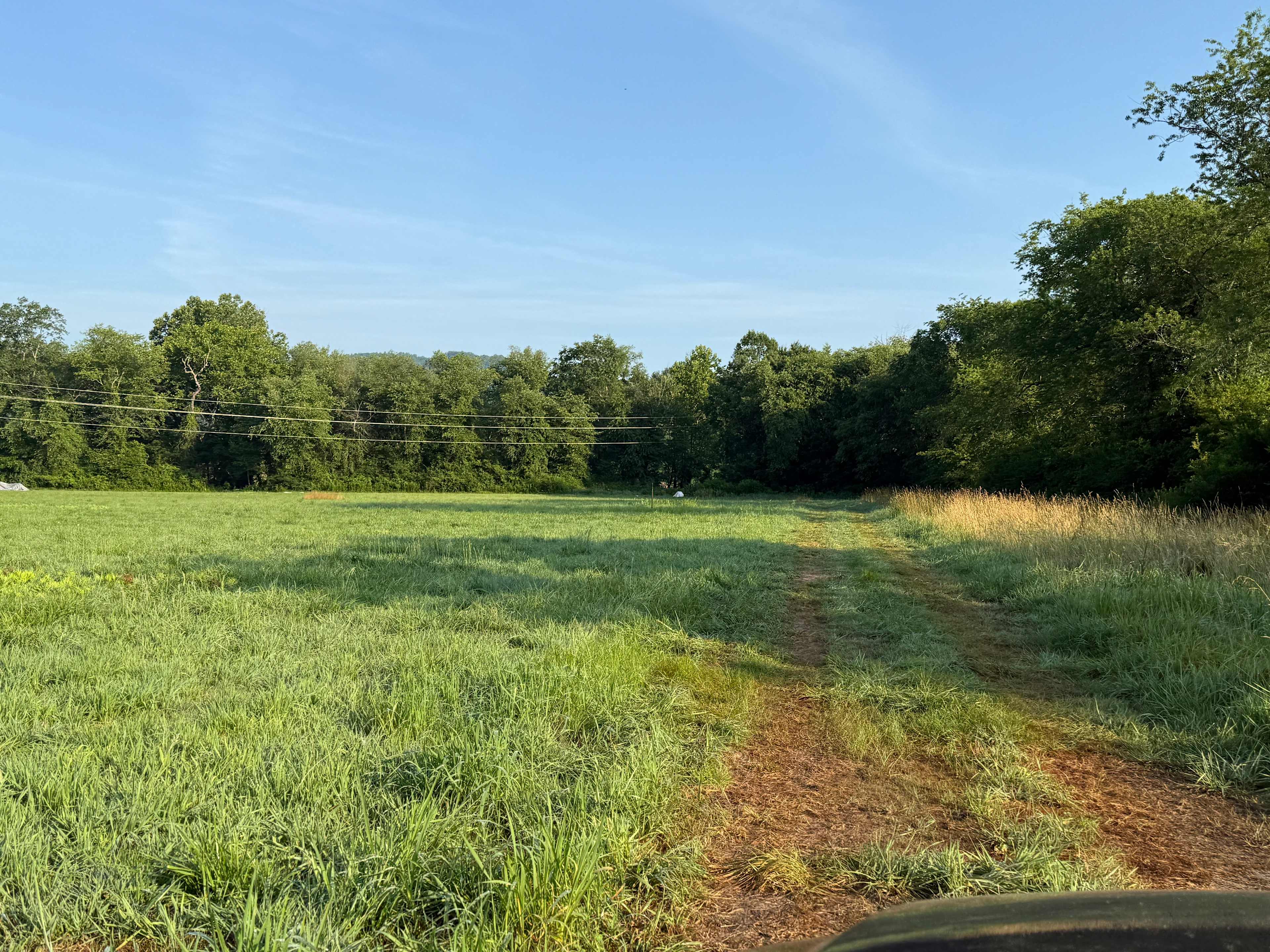 Josie's Field