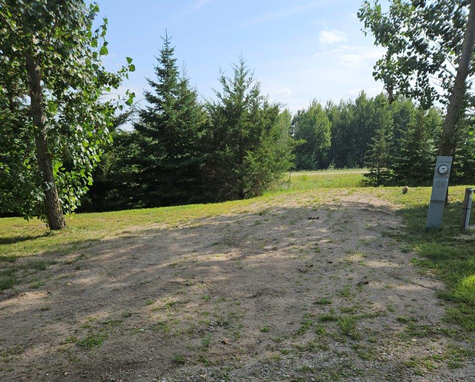 Site View