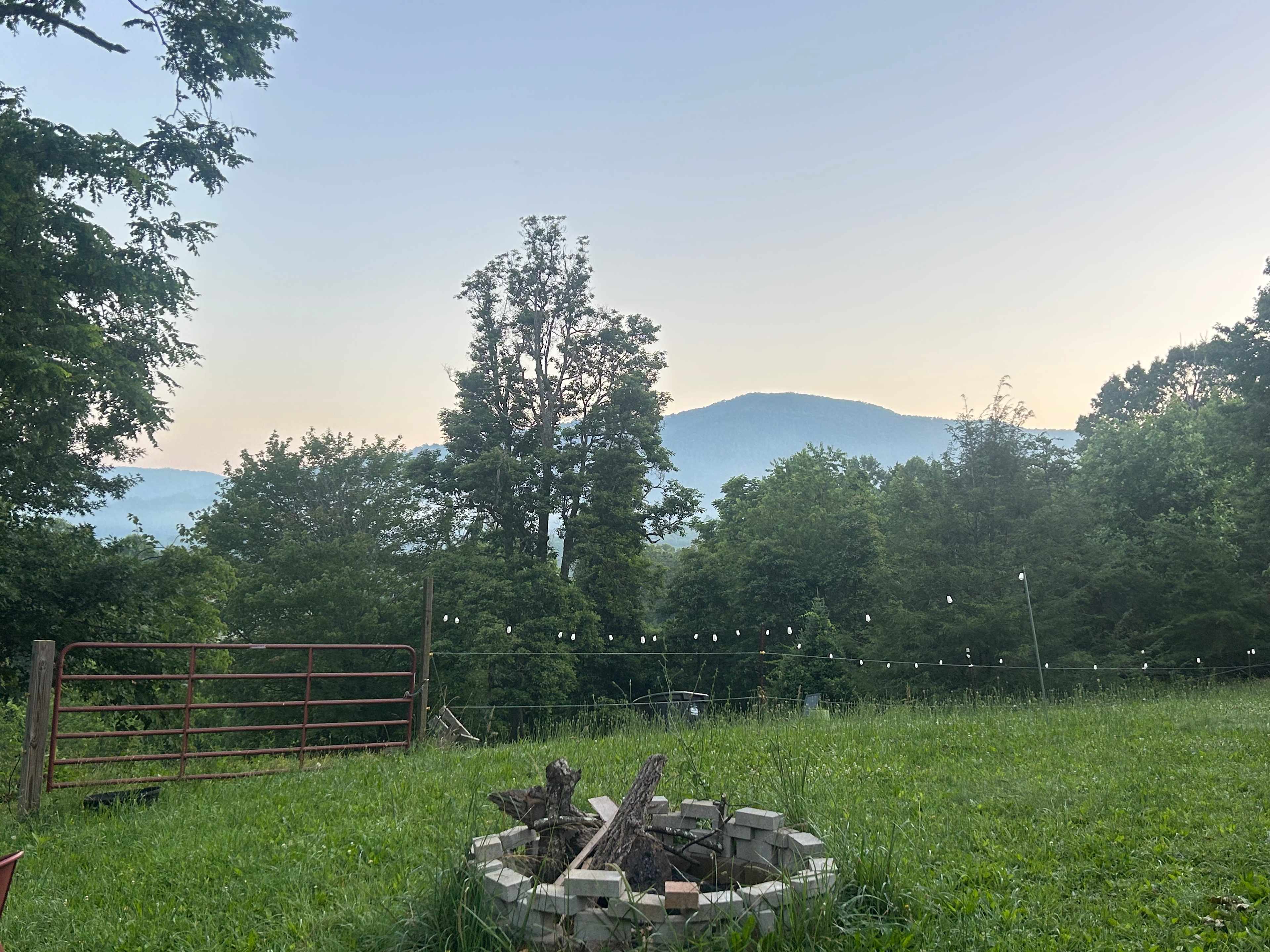 Red Rooster Farm: AVL Adjacent!