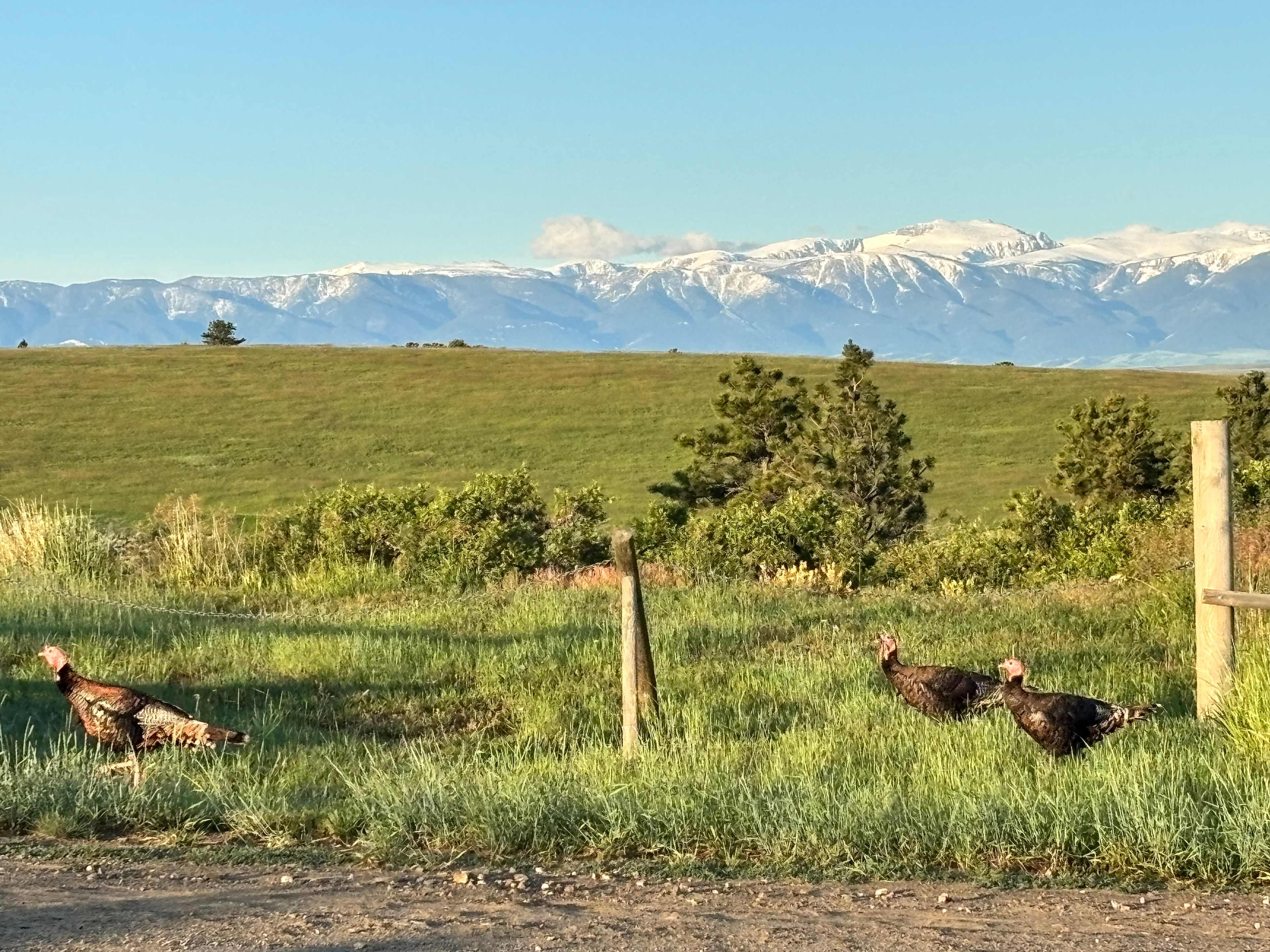 Big Sky Vistas