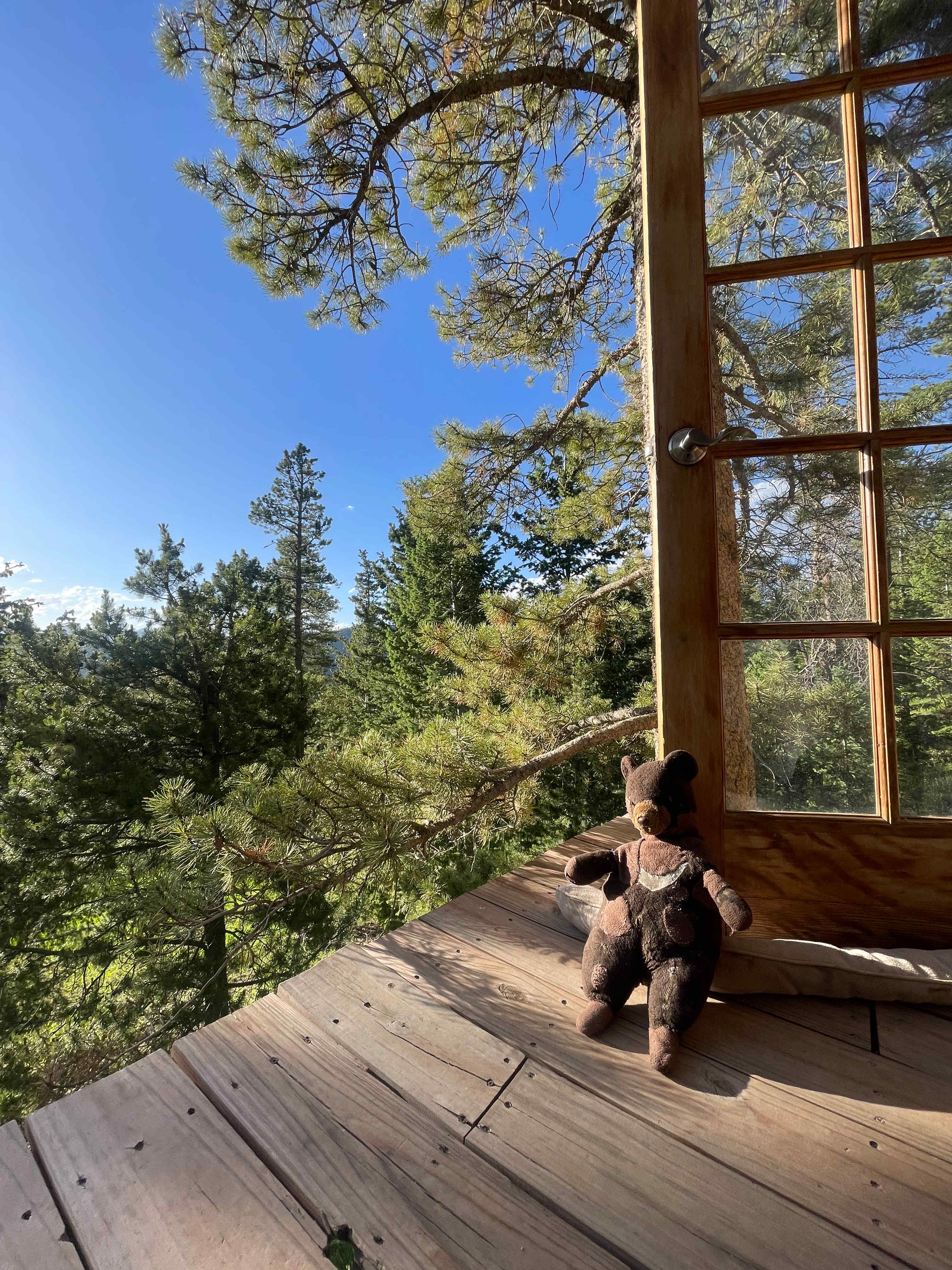 Gold Nugget Tree House