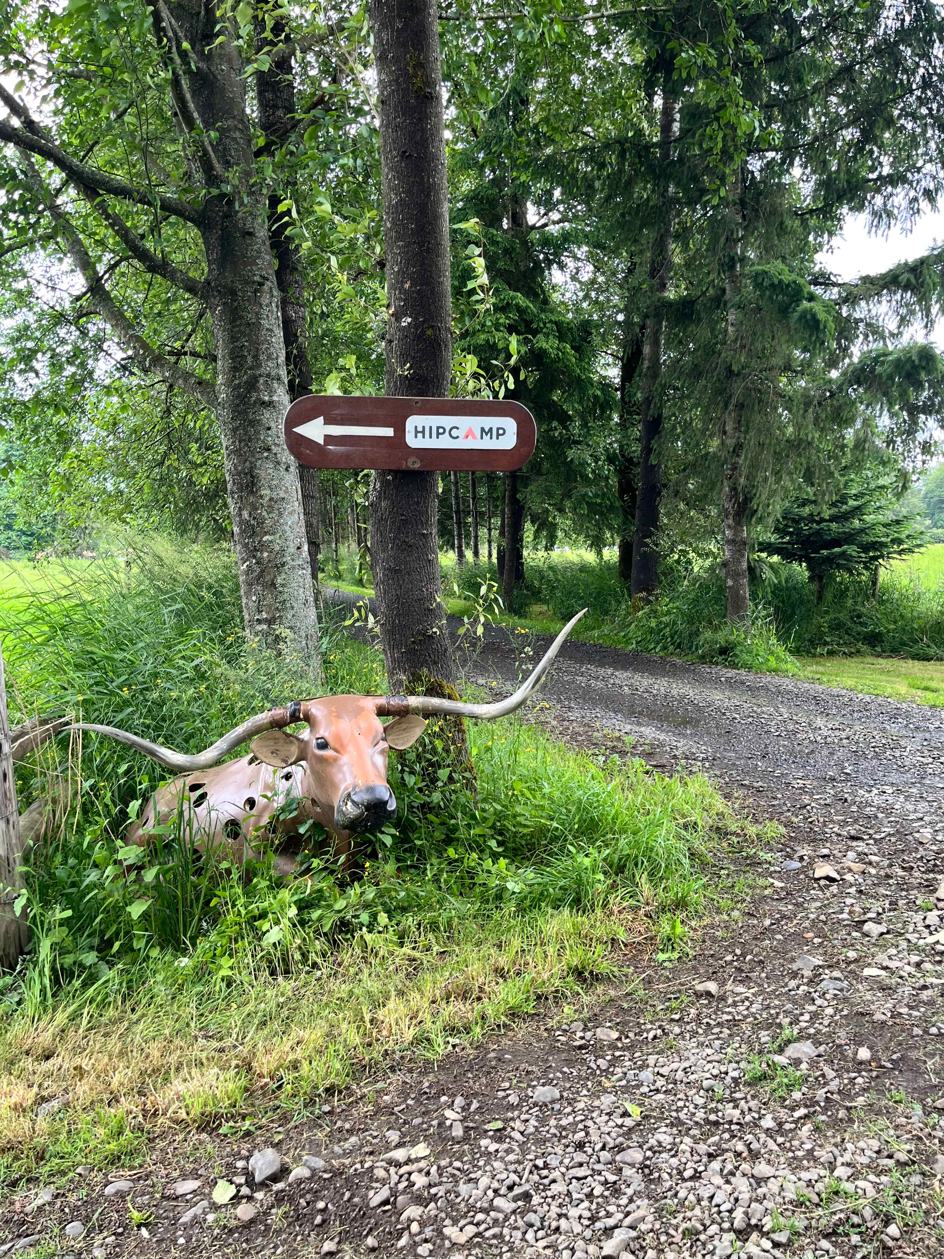 Tillamook - Trask River