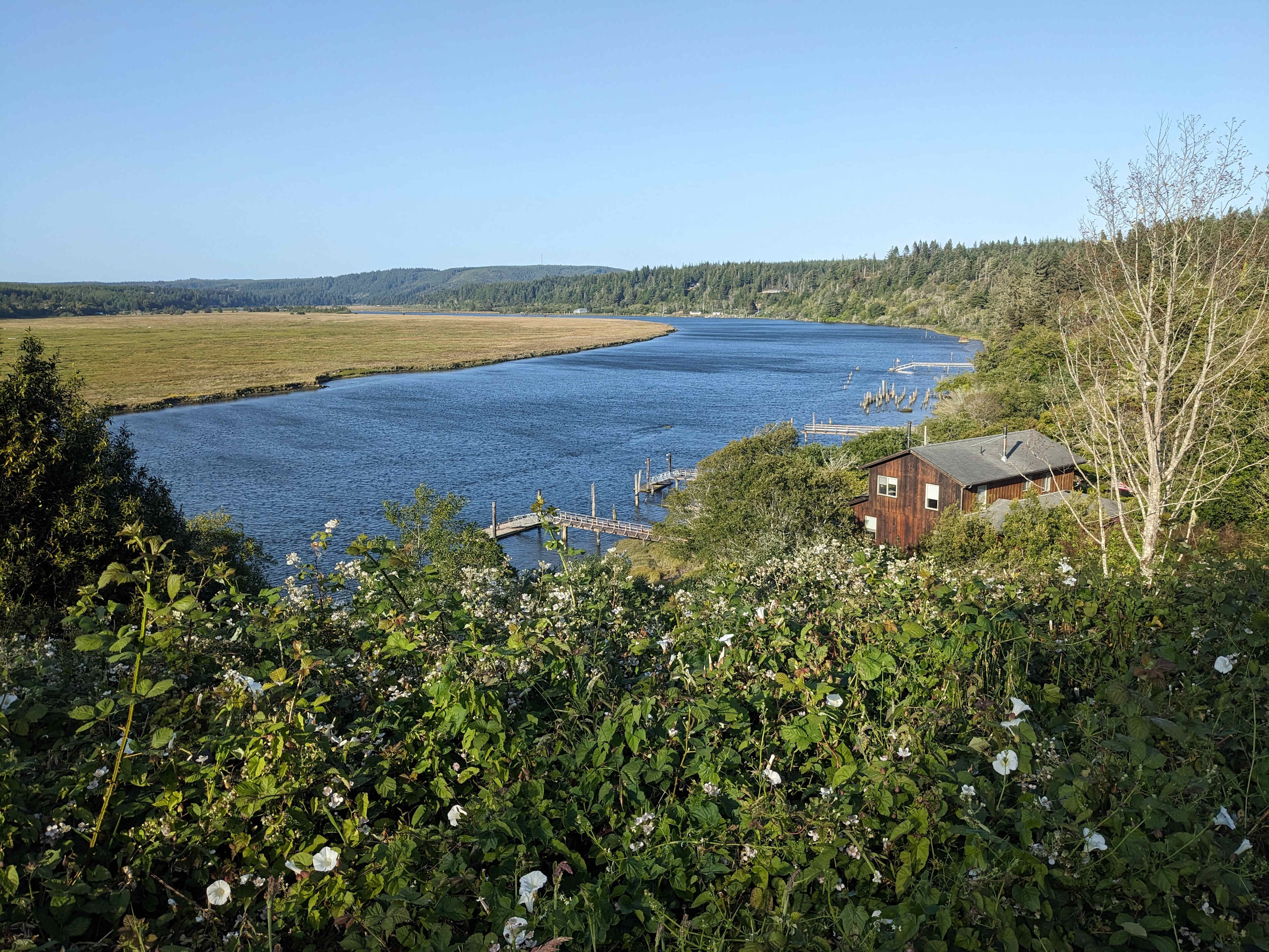 Epic Coquille River view