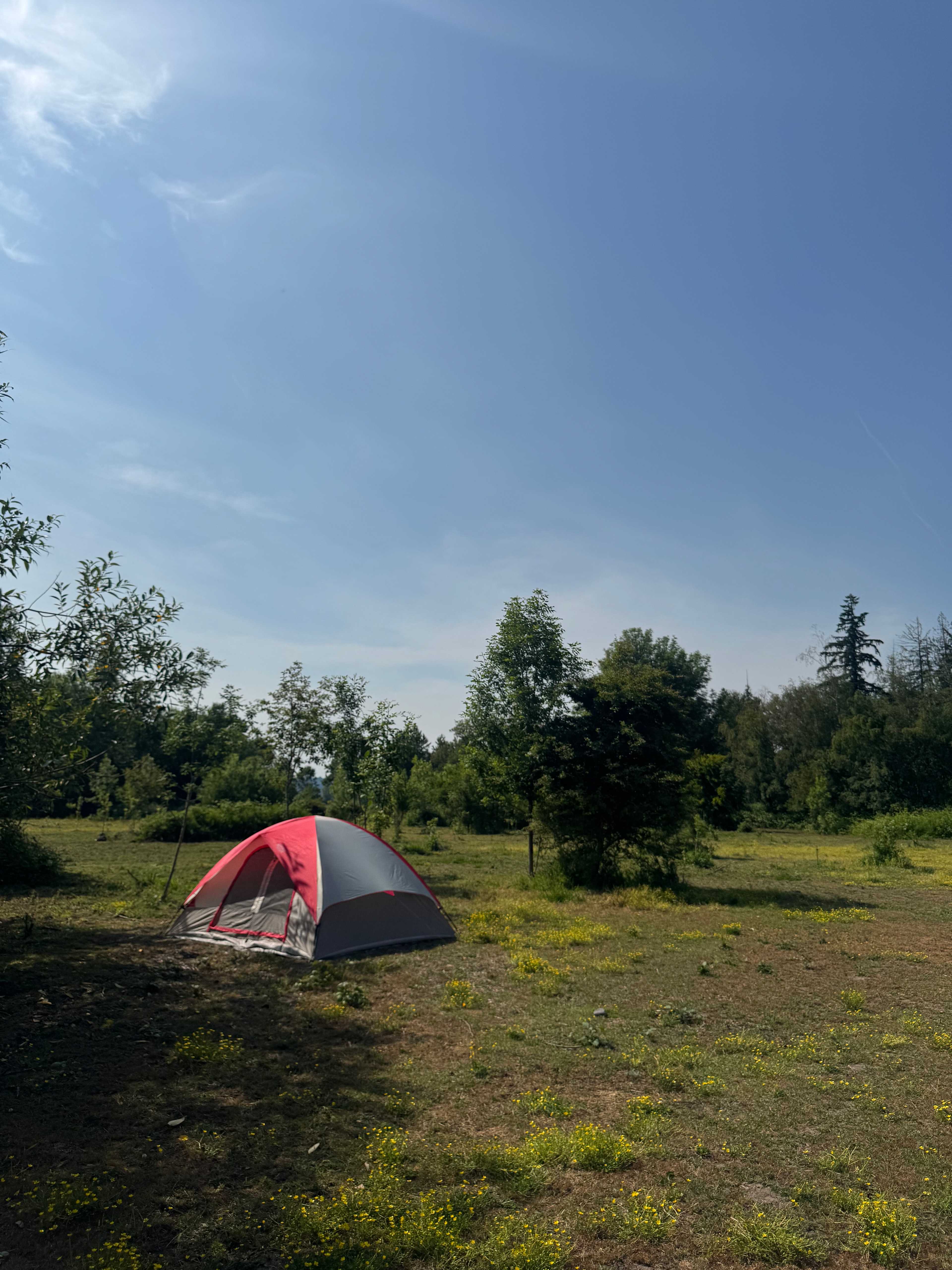 Elysian Retreat