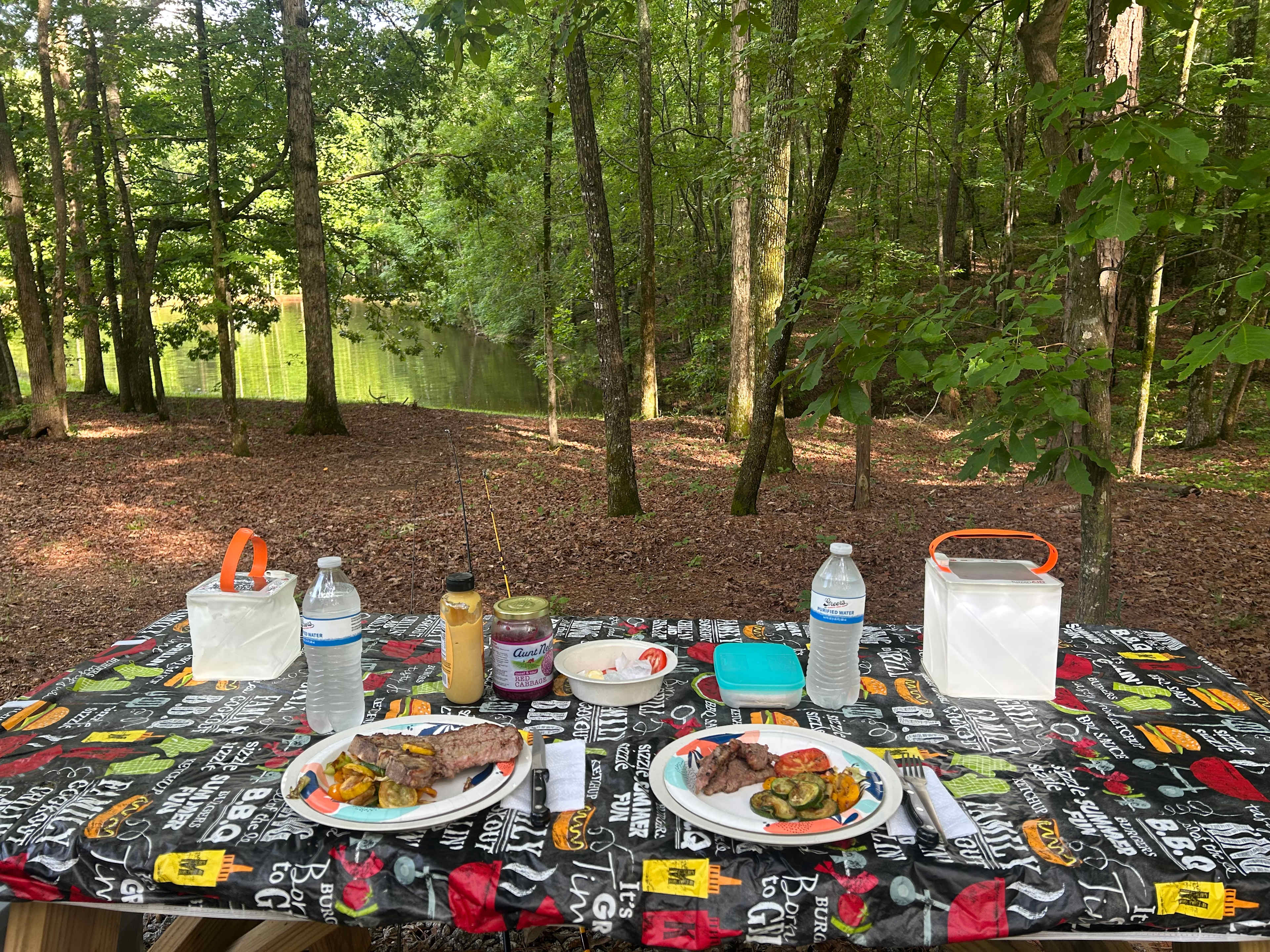 View from picnic table