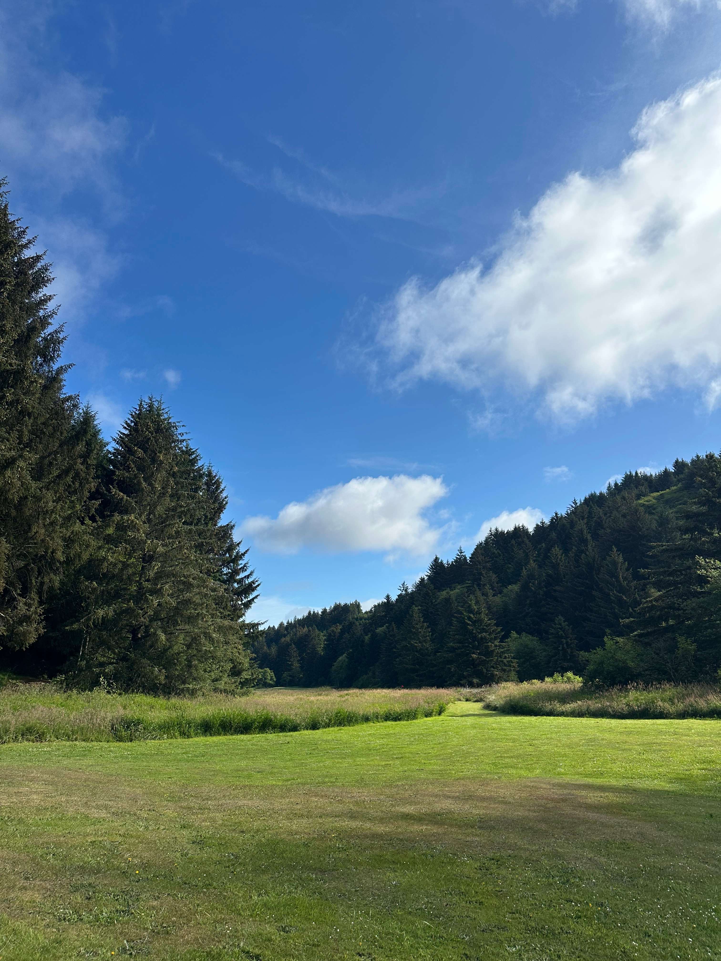 Sunset Bay Meadows