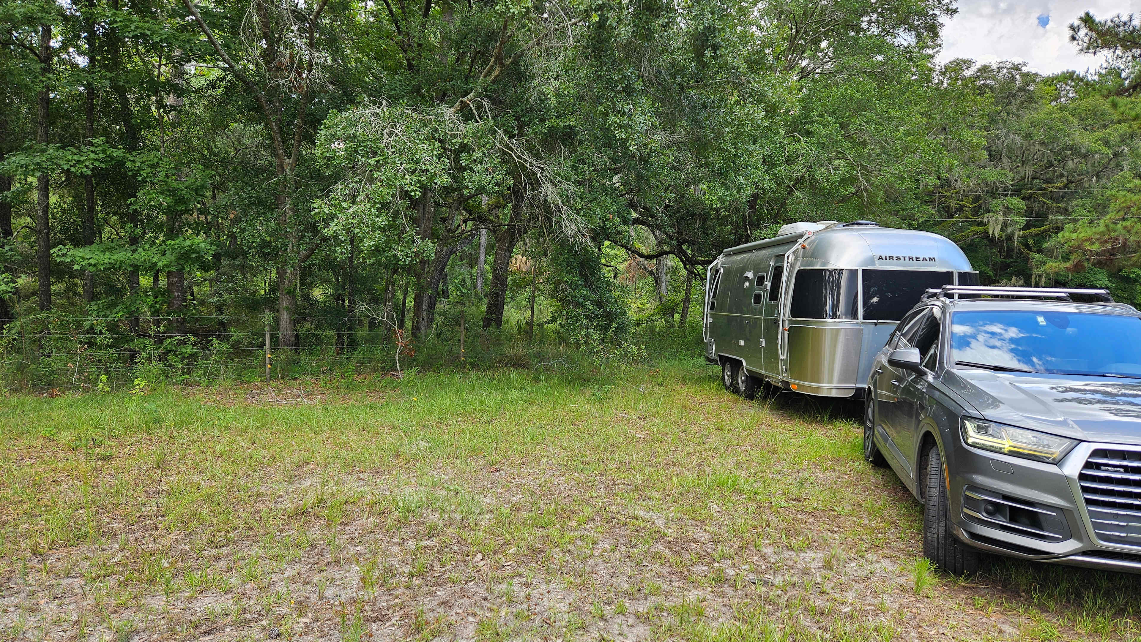Honey Bee Ranch
