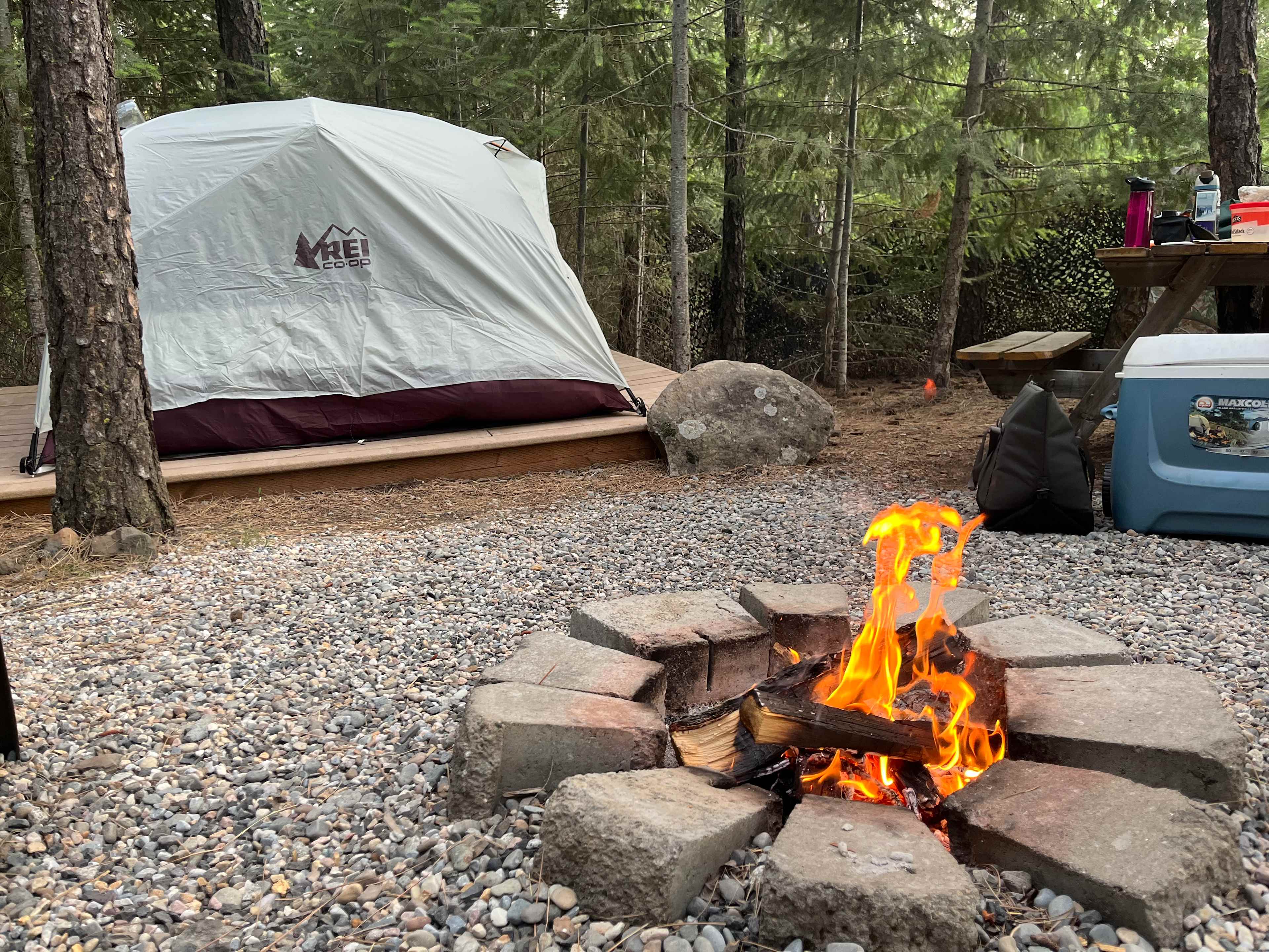 SPOKANE CAMPING In The Forest