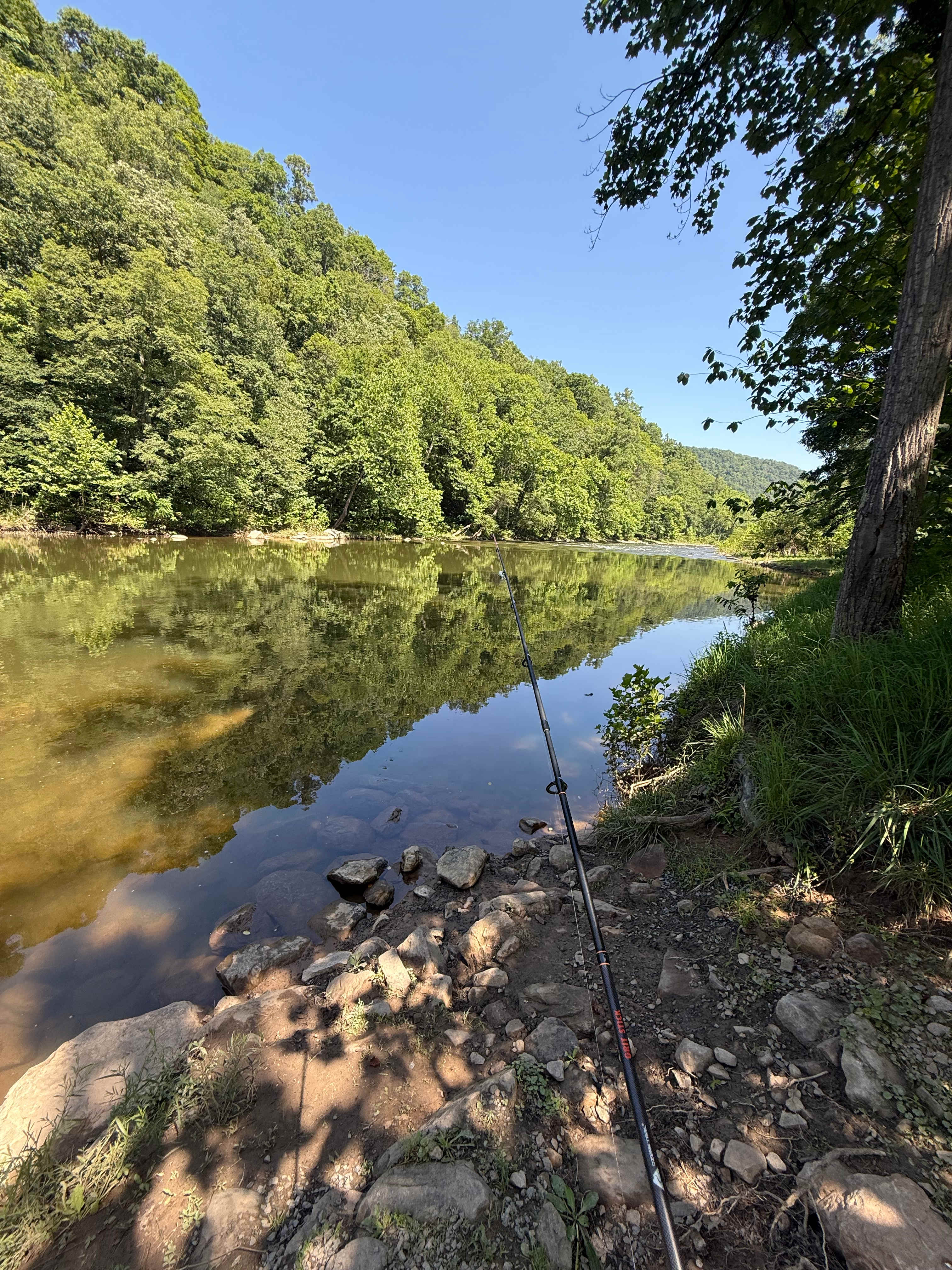 The Byrd's Nest on the River