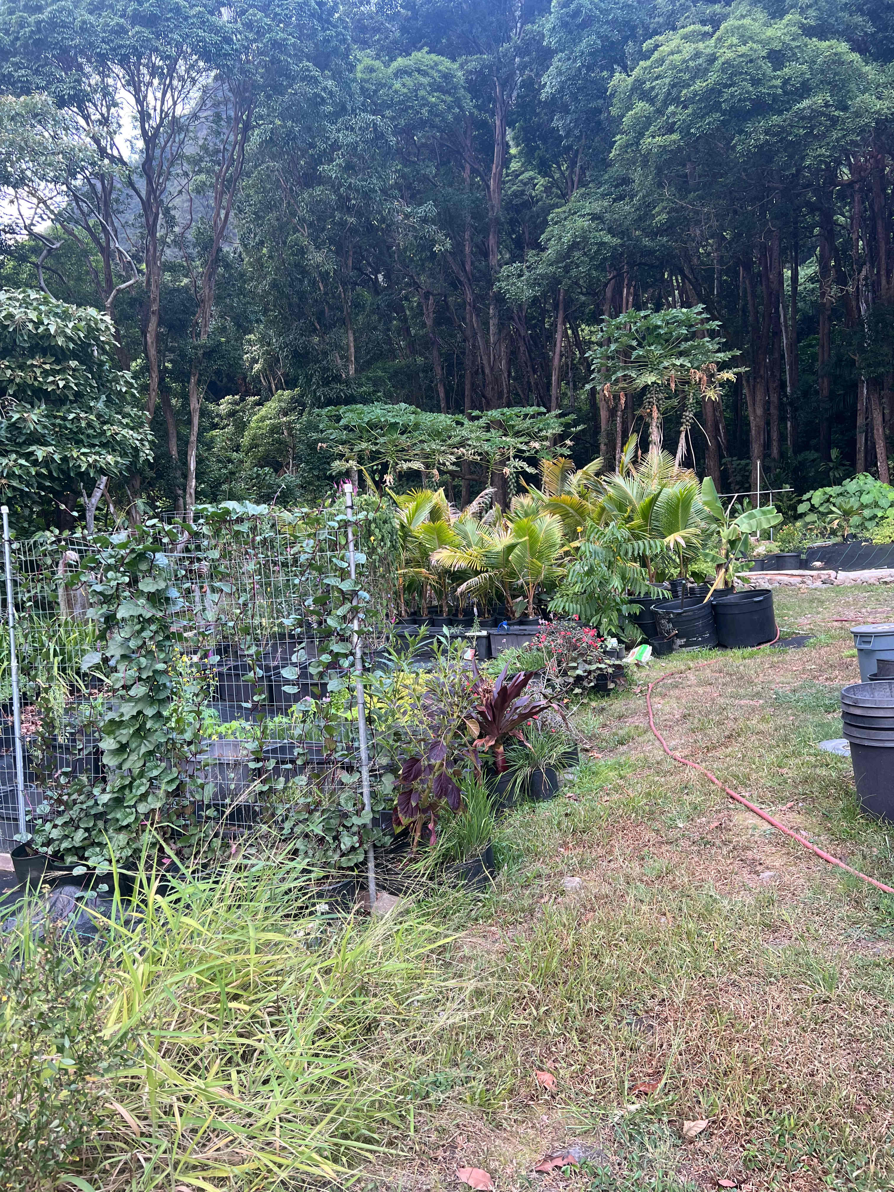 Mini nursery area