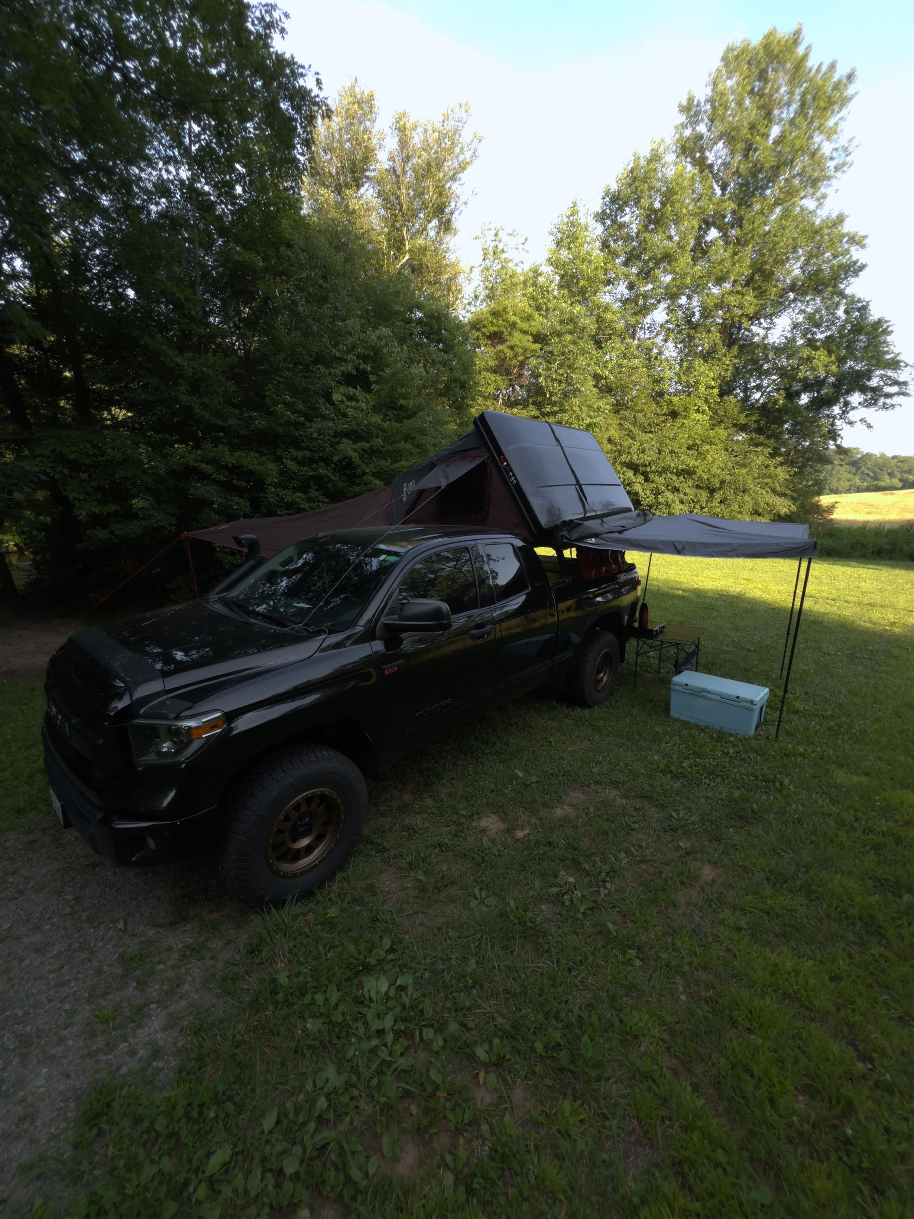 Tranquil Fisher River Cattle Farm
