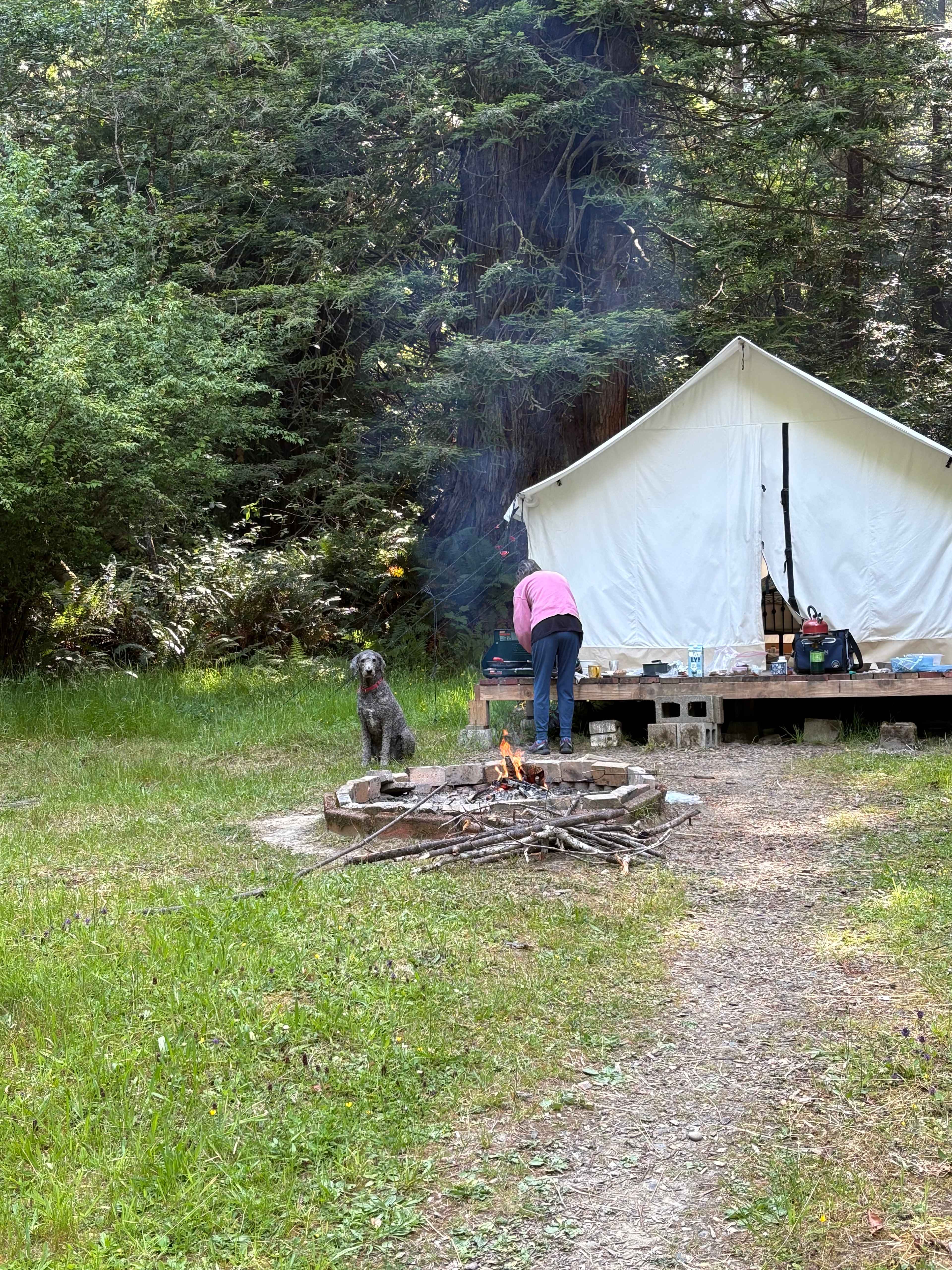 Lovely campire