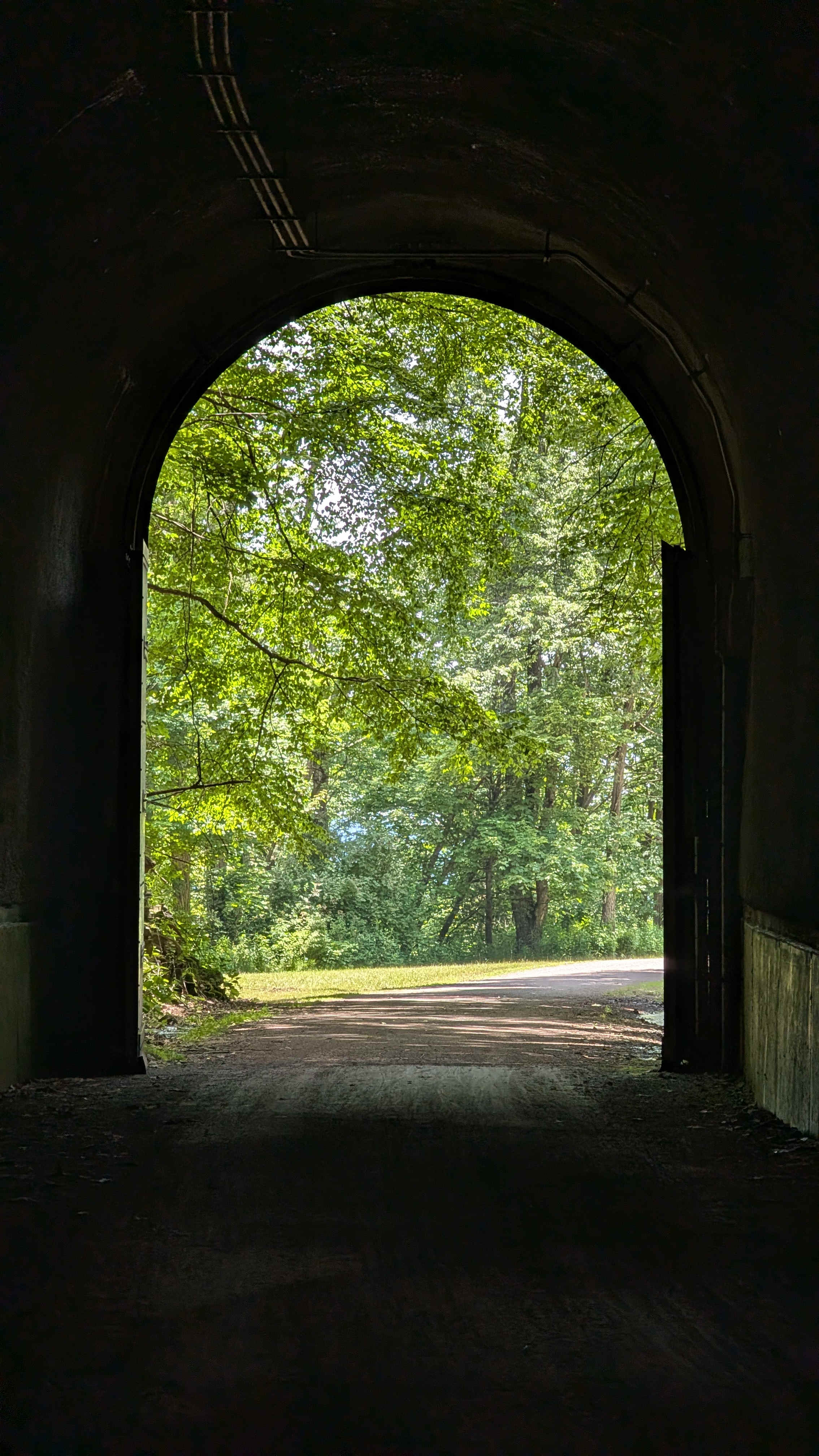 The Savage mountain tunnel