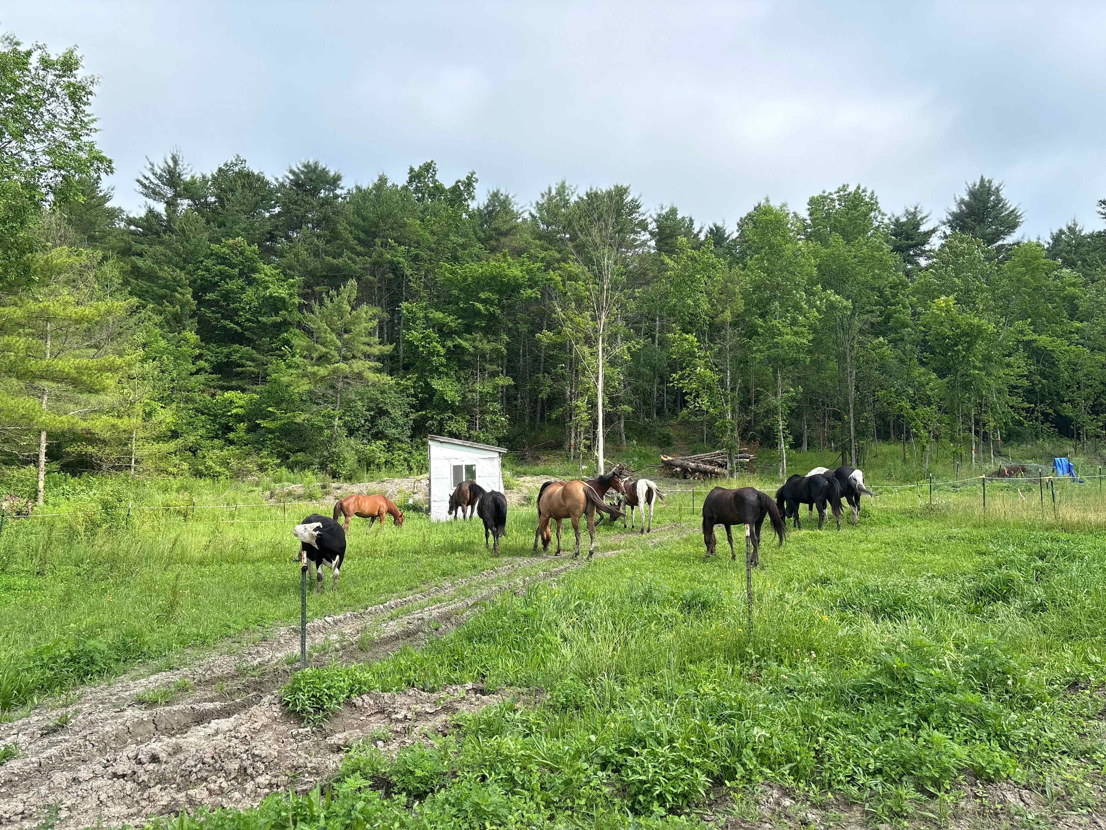 Running Bare Ridge Farm