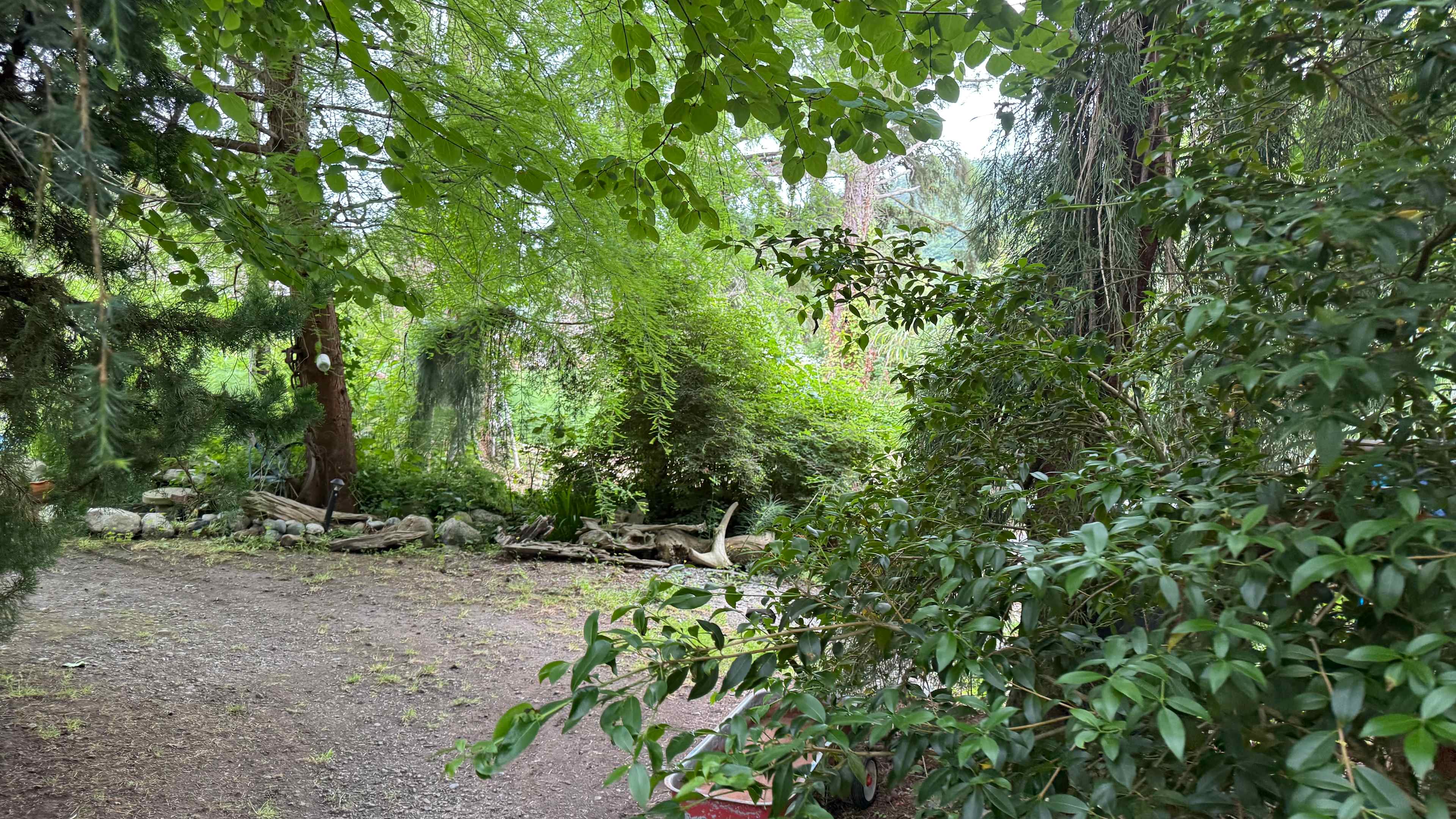 Saltgrass Garden
